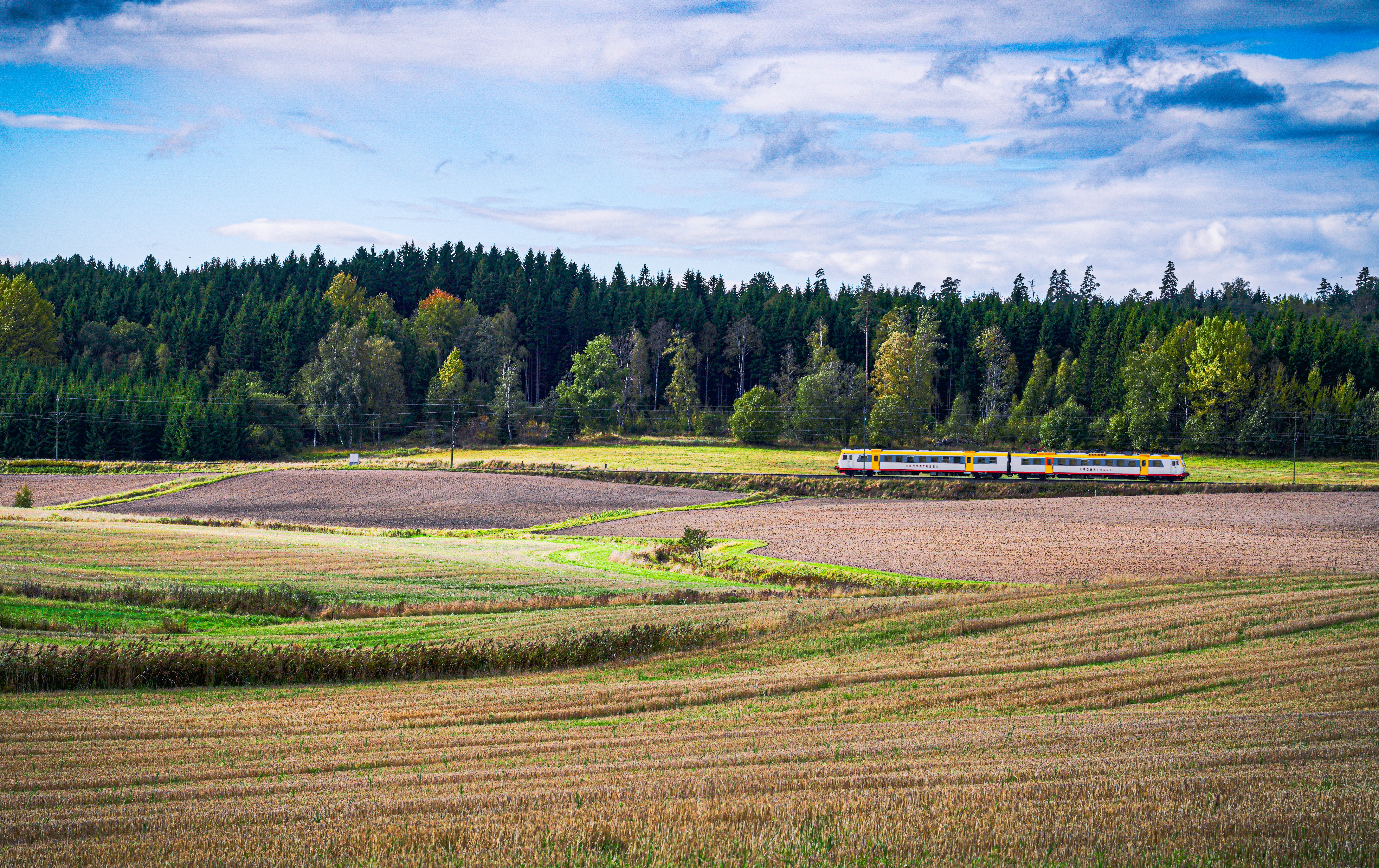 Train traveling through a rural landscape with trees.