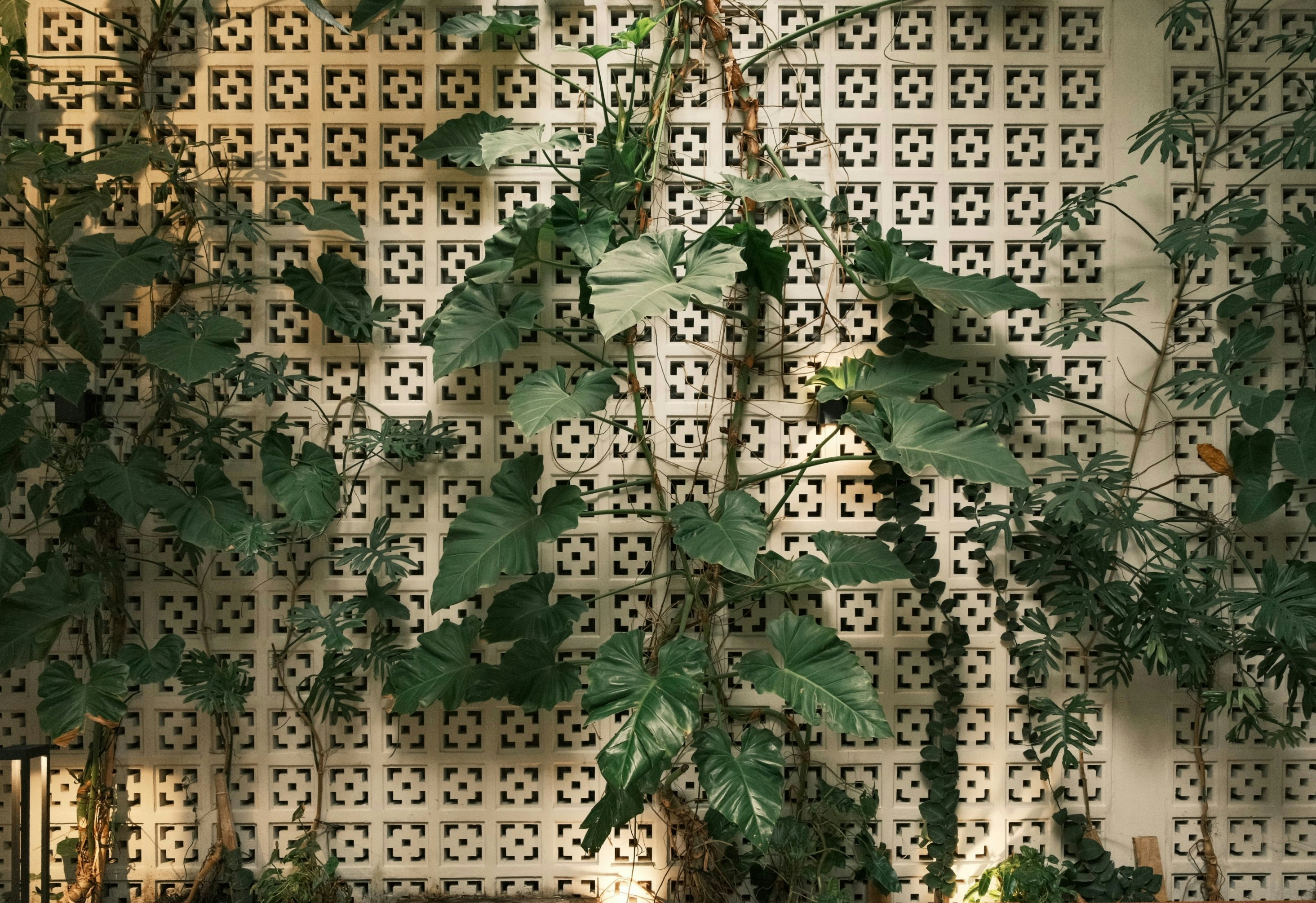 Green vines climb a decorative concrete block wall.