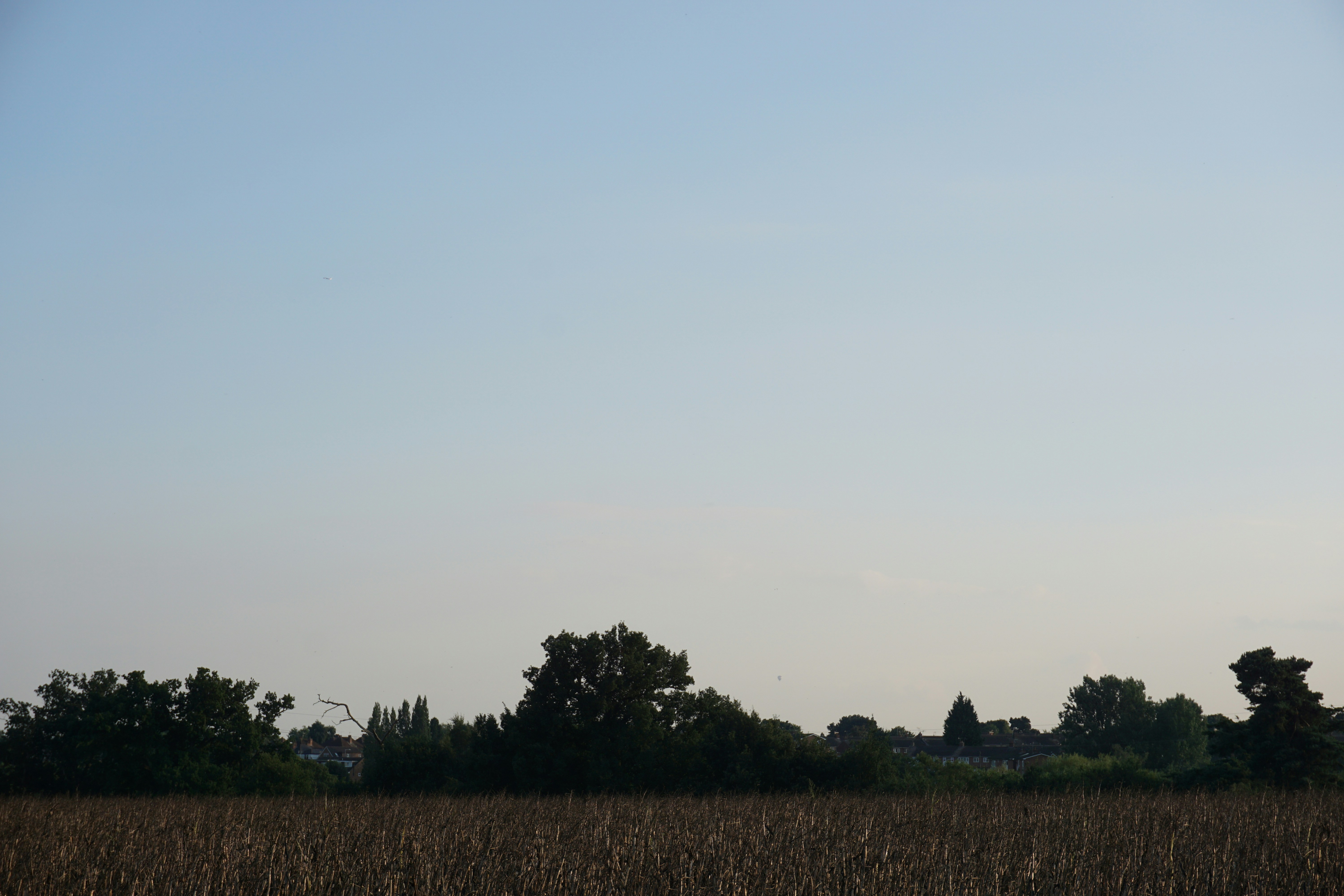 Afbeelding van Lage Zwaluwe