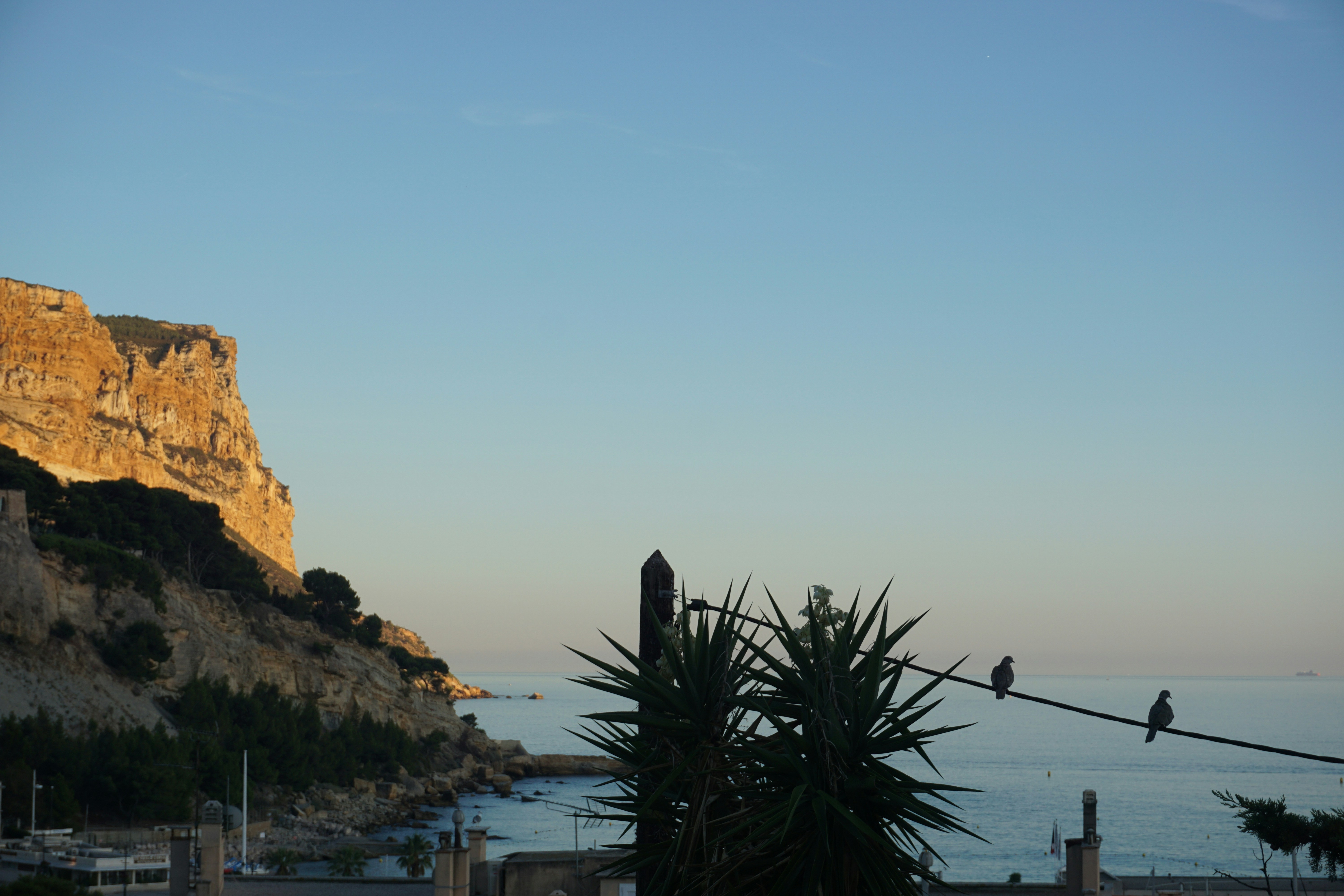 Cliffside overlooking a calm ocean with birds on wire.