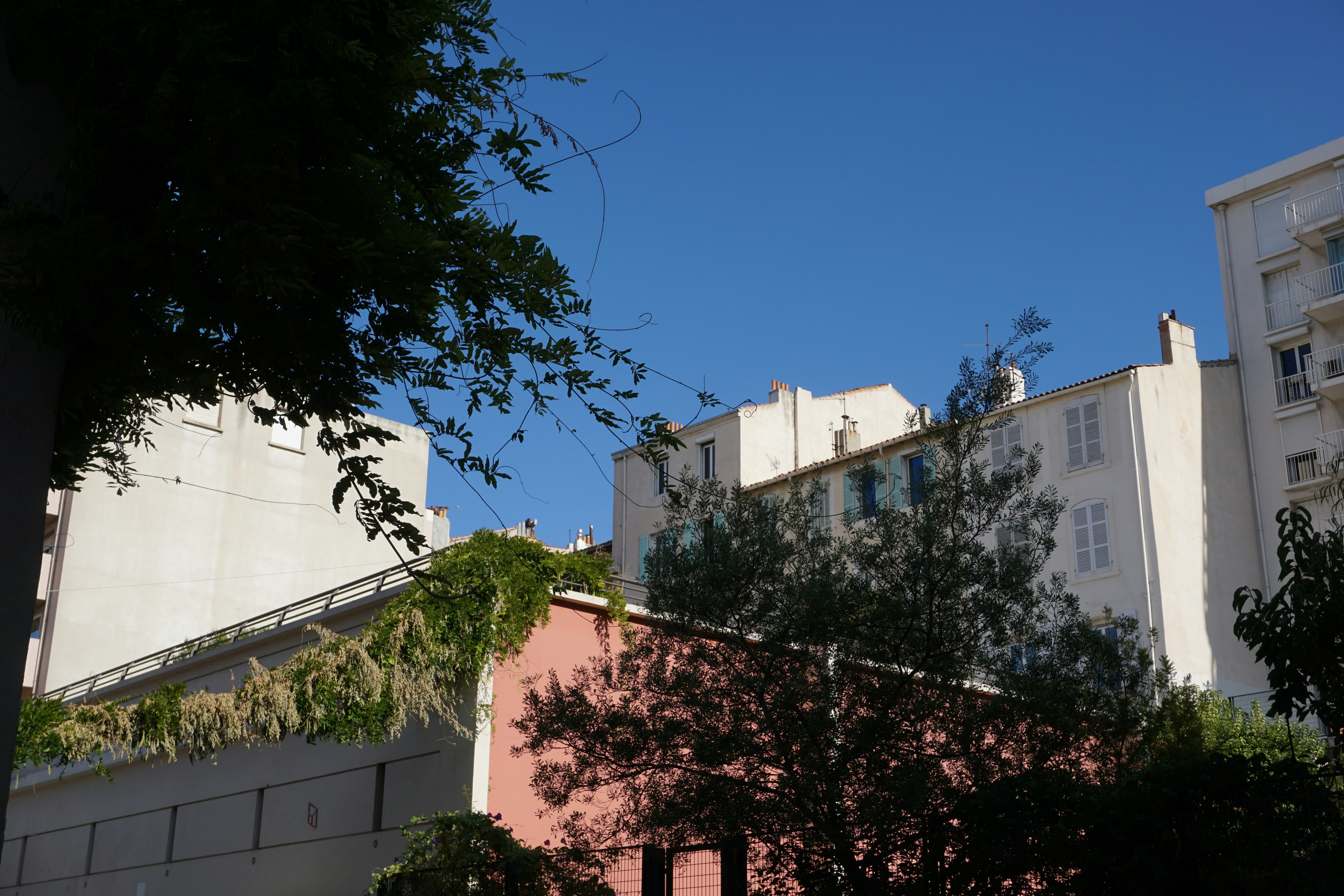 Photo by lecelle