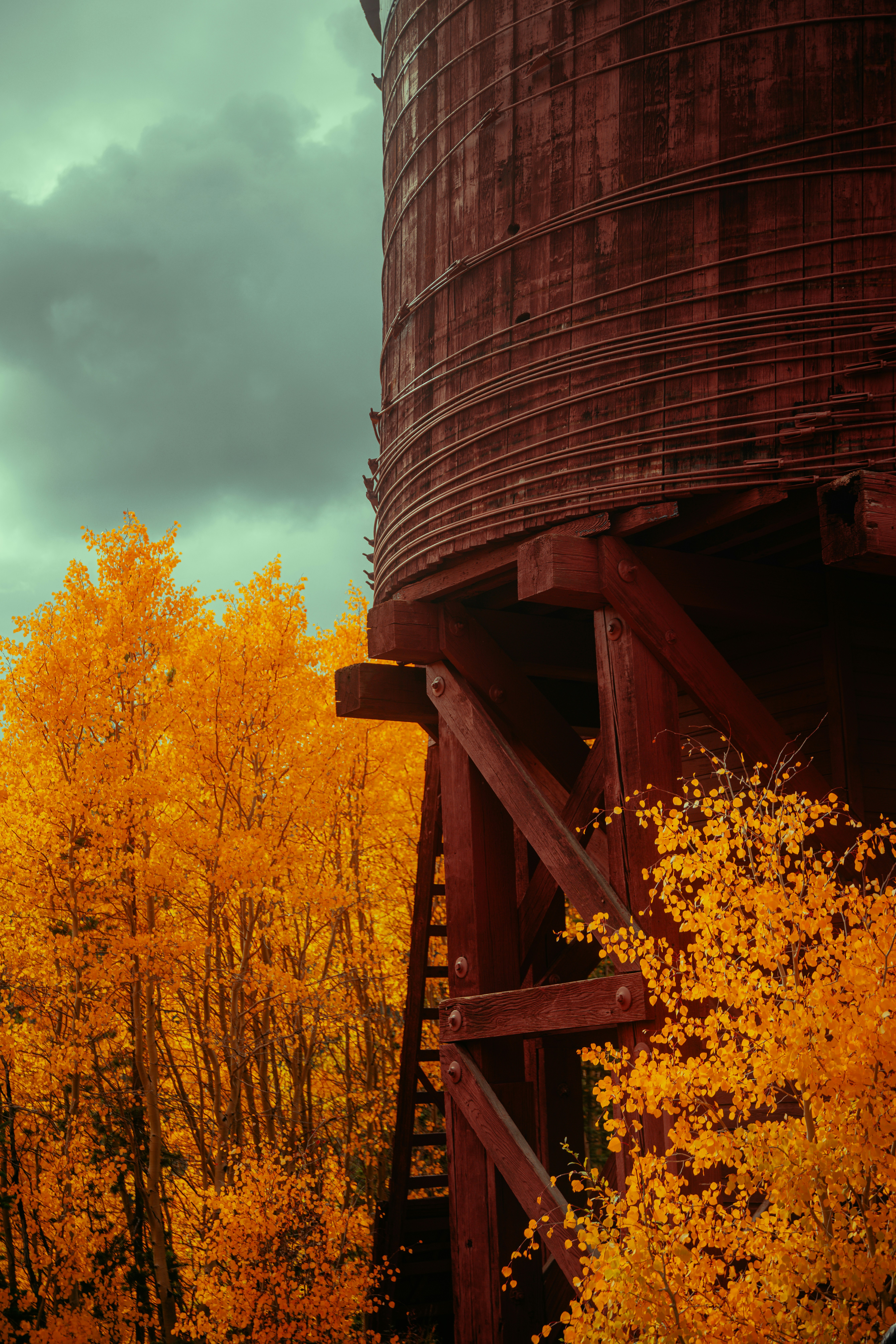 Old wooden water tower surrounded by autumn trees
