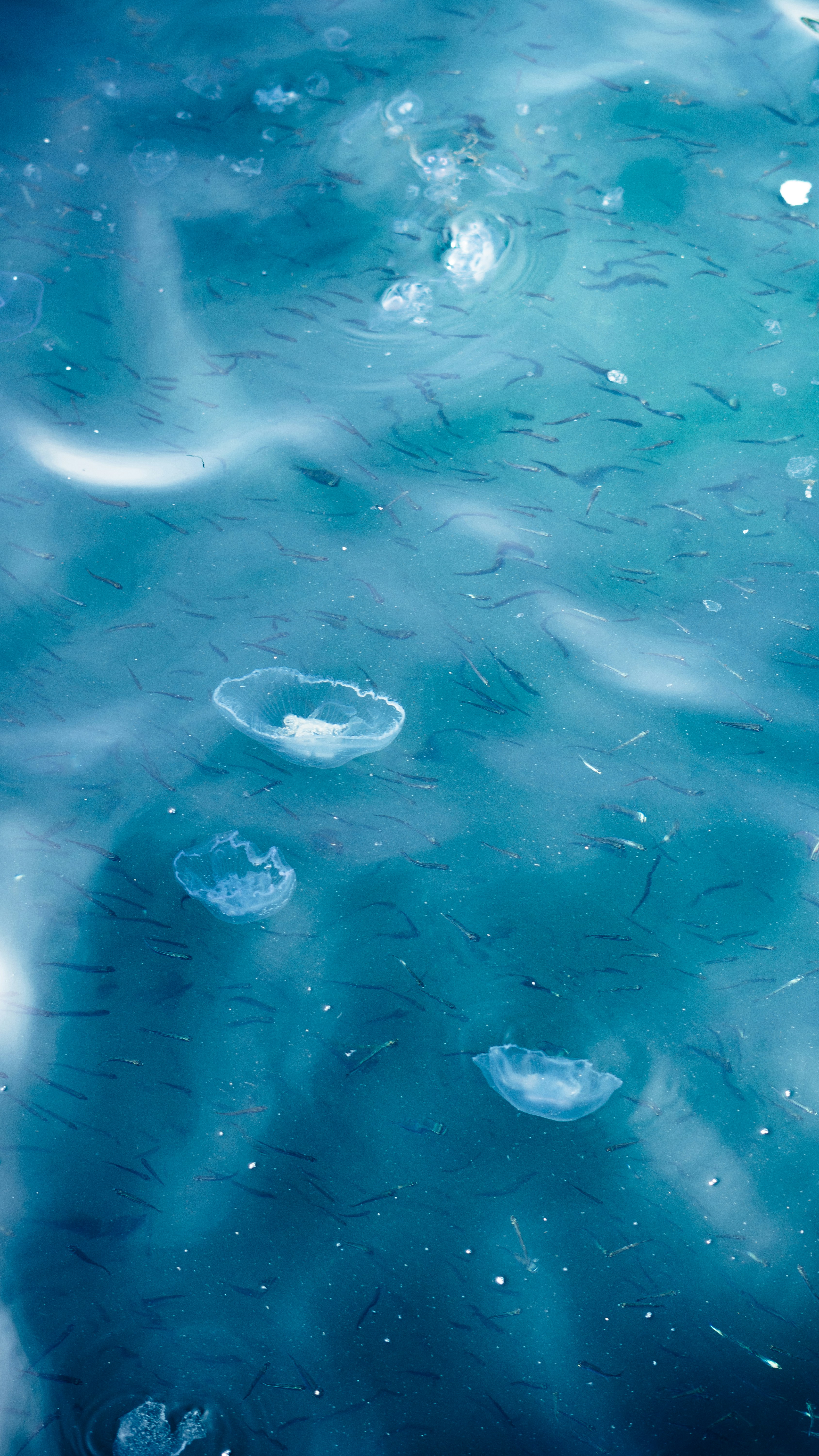 Photo by sogandkhodaei