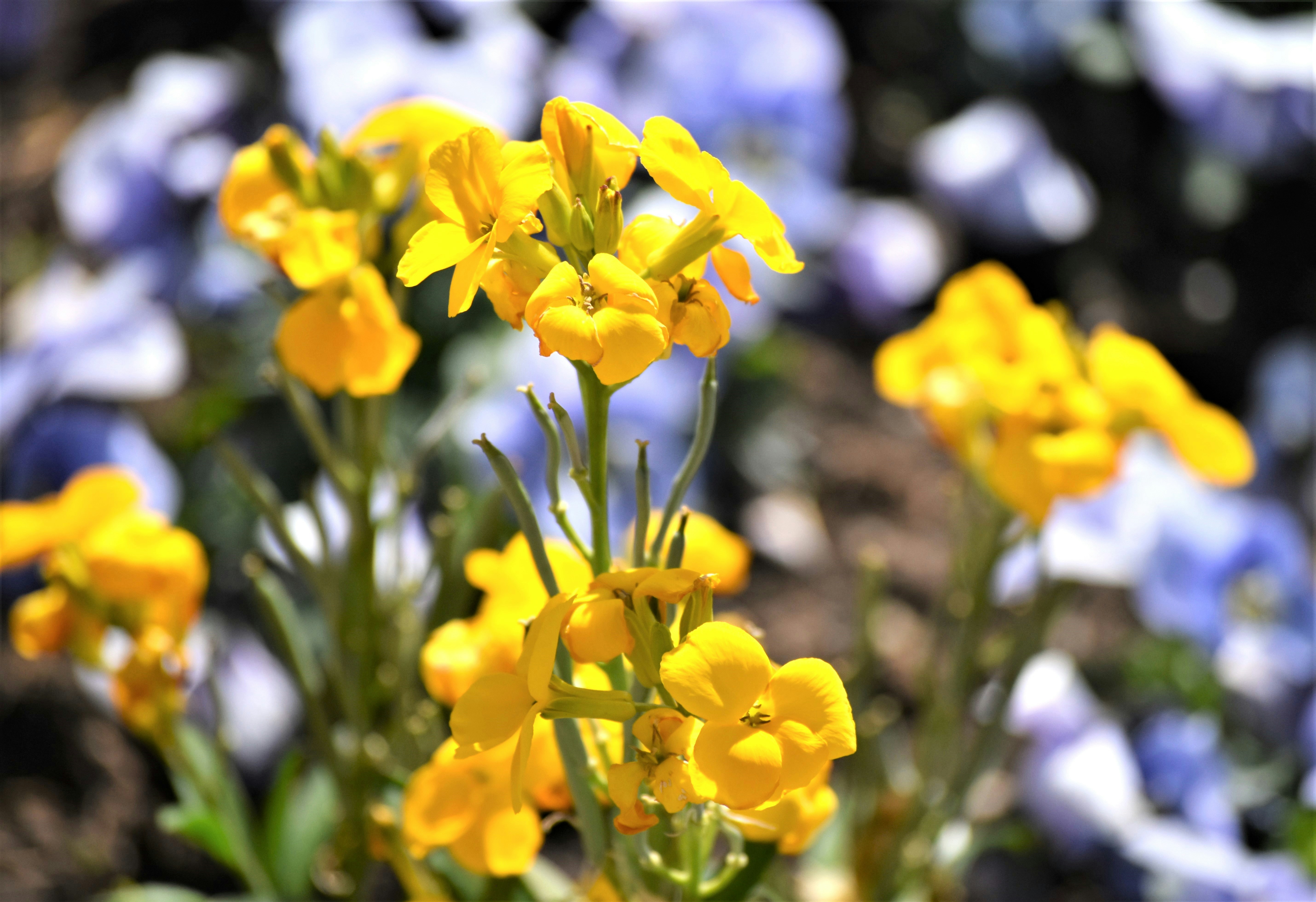 Photo by danielelarosa