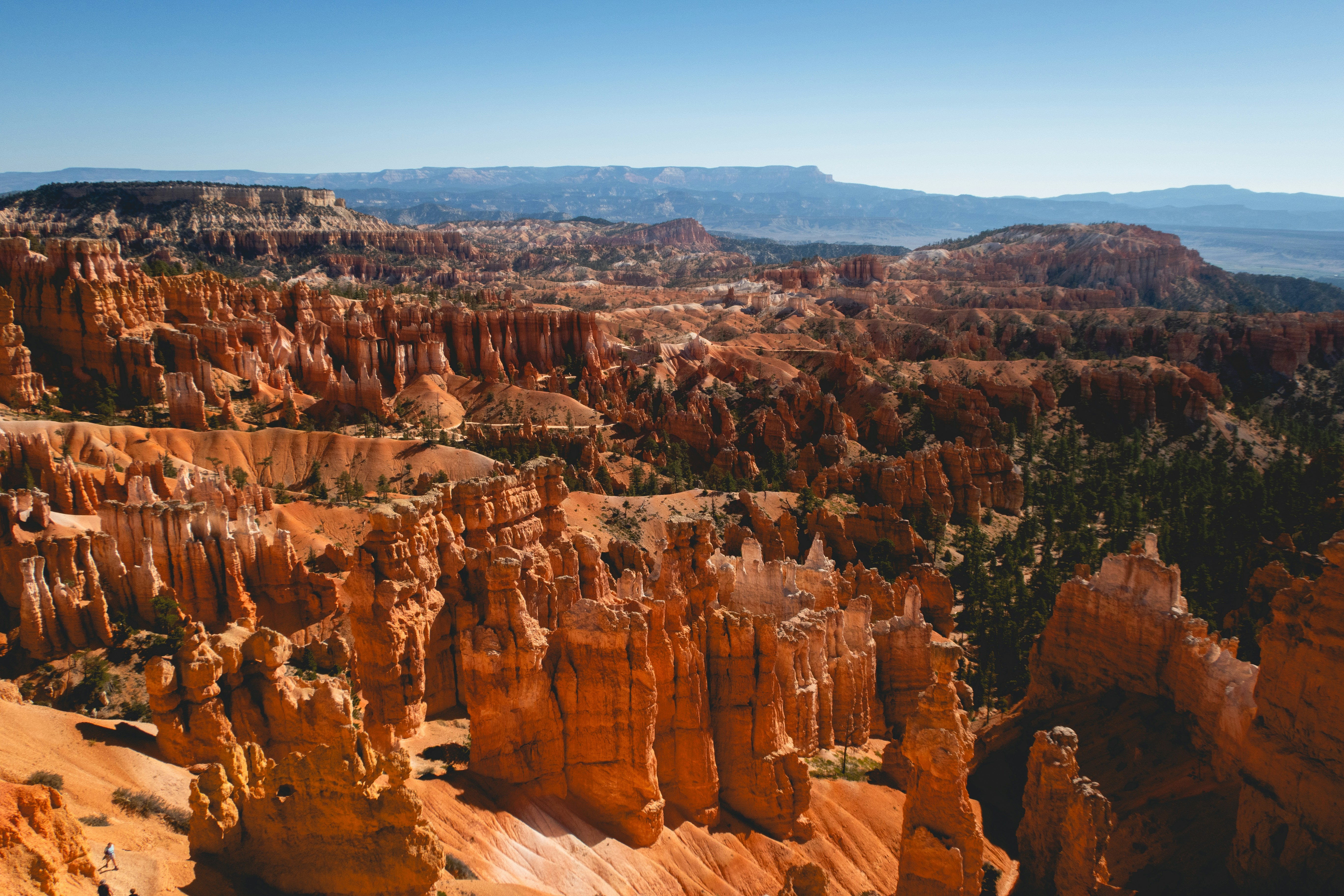 Photo by tomsnauticalmiles