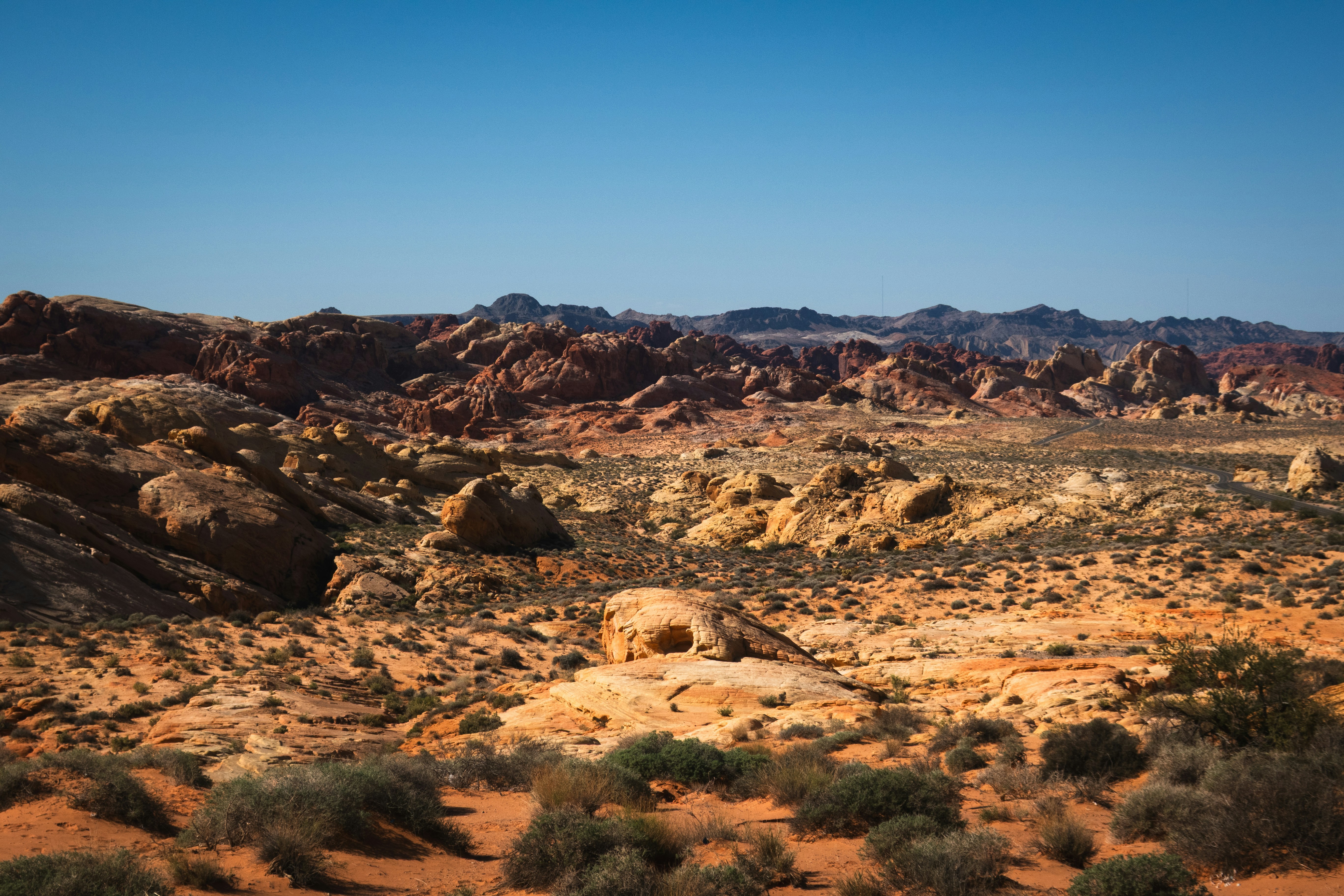 Photo by tomsnauticalmiles