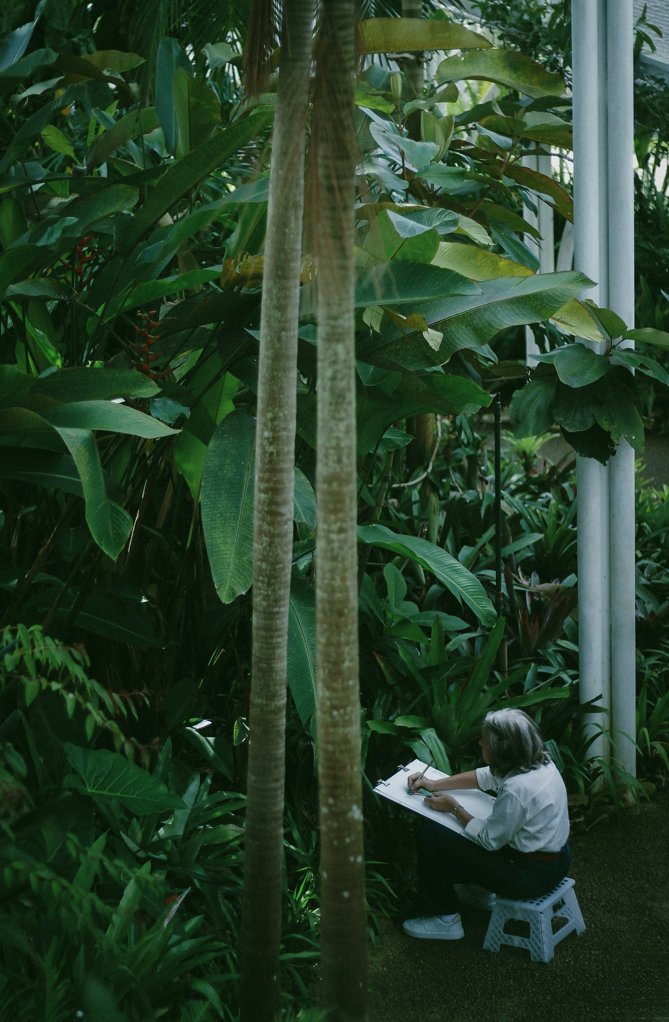 Woman sketching among lush green tropical plants.