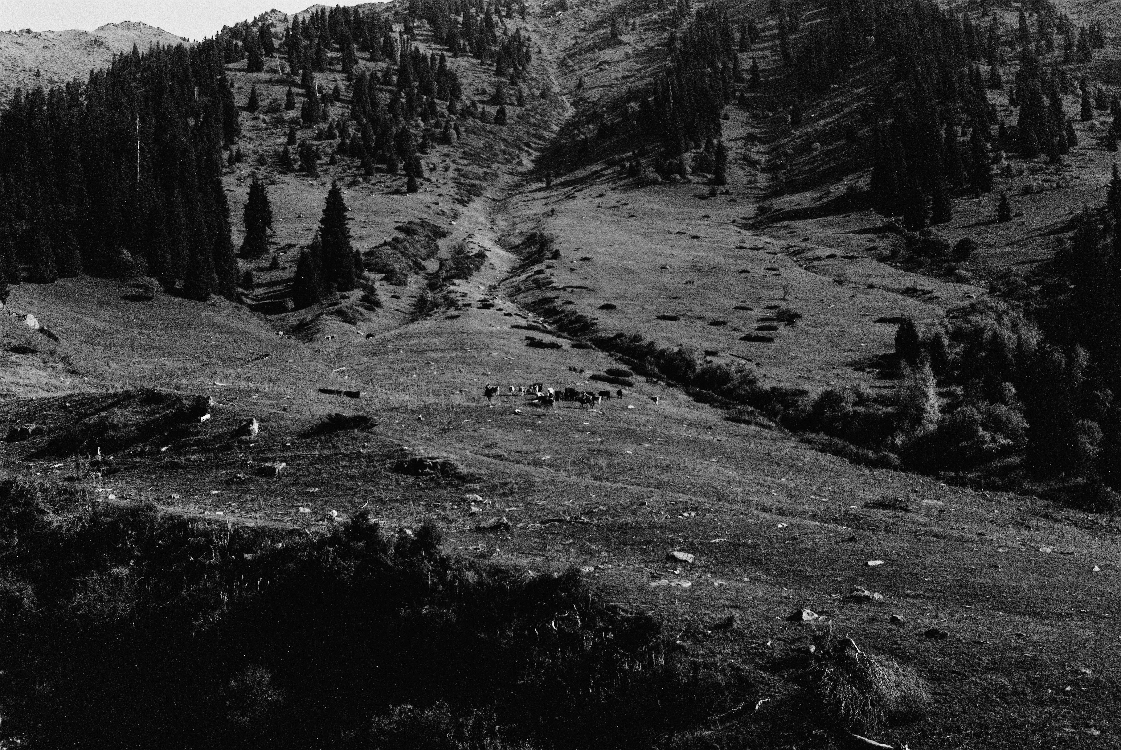 Photo by dmitrii_filatov