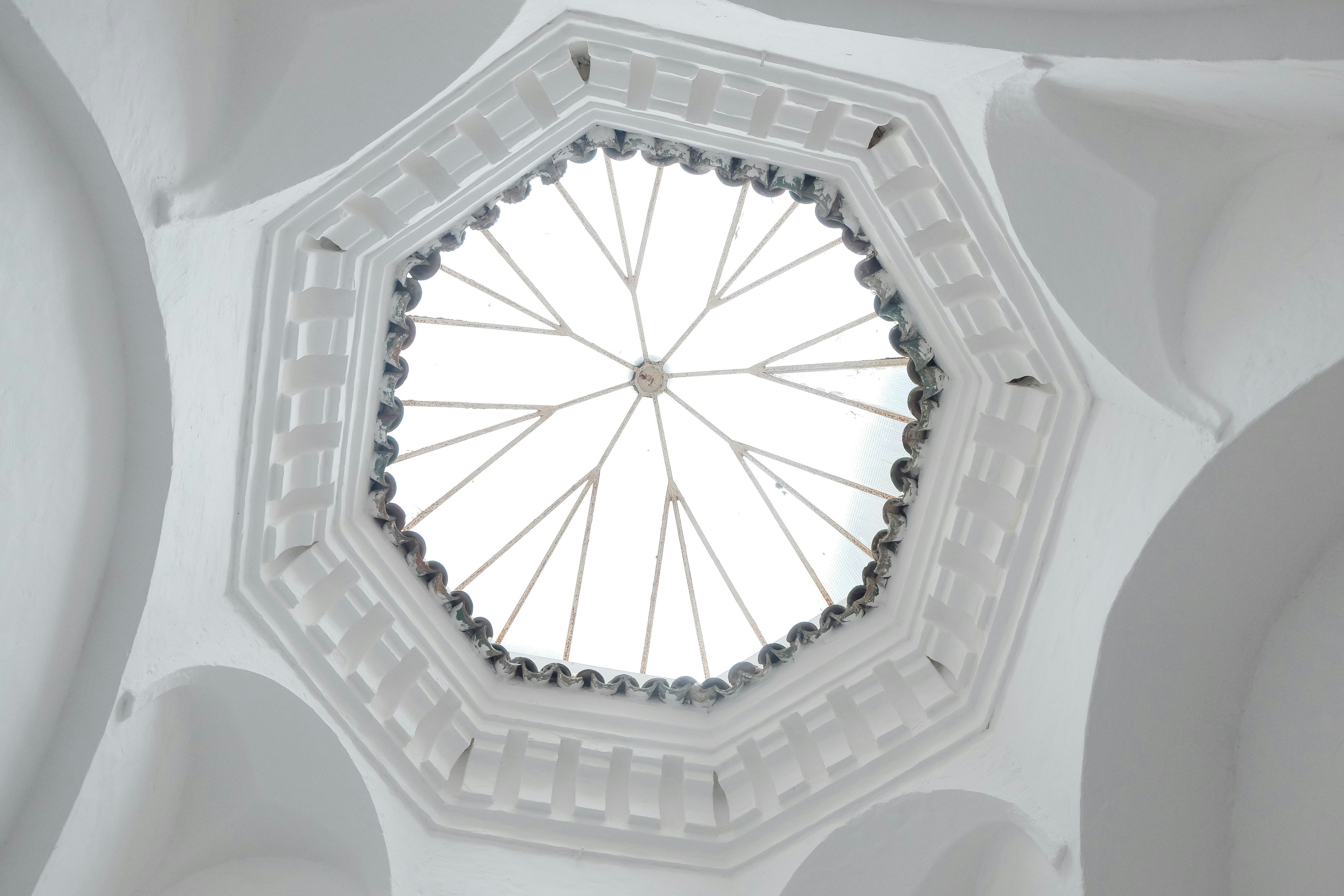 Photo by gunnarridder