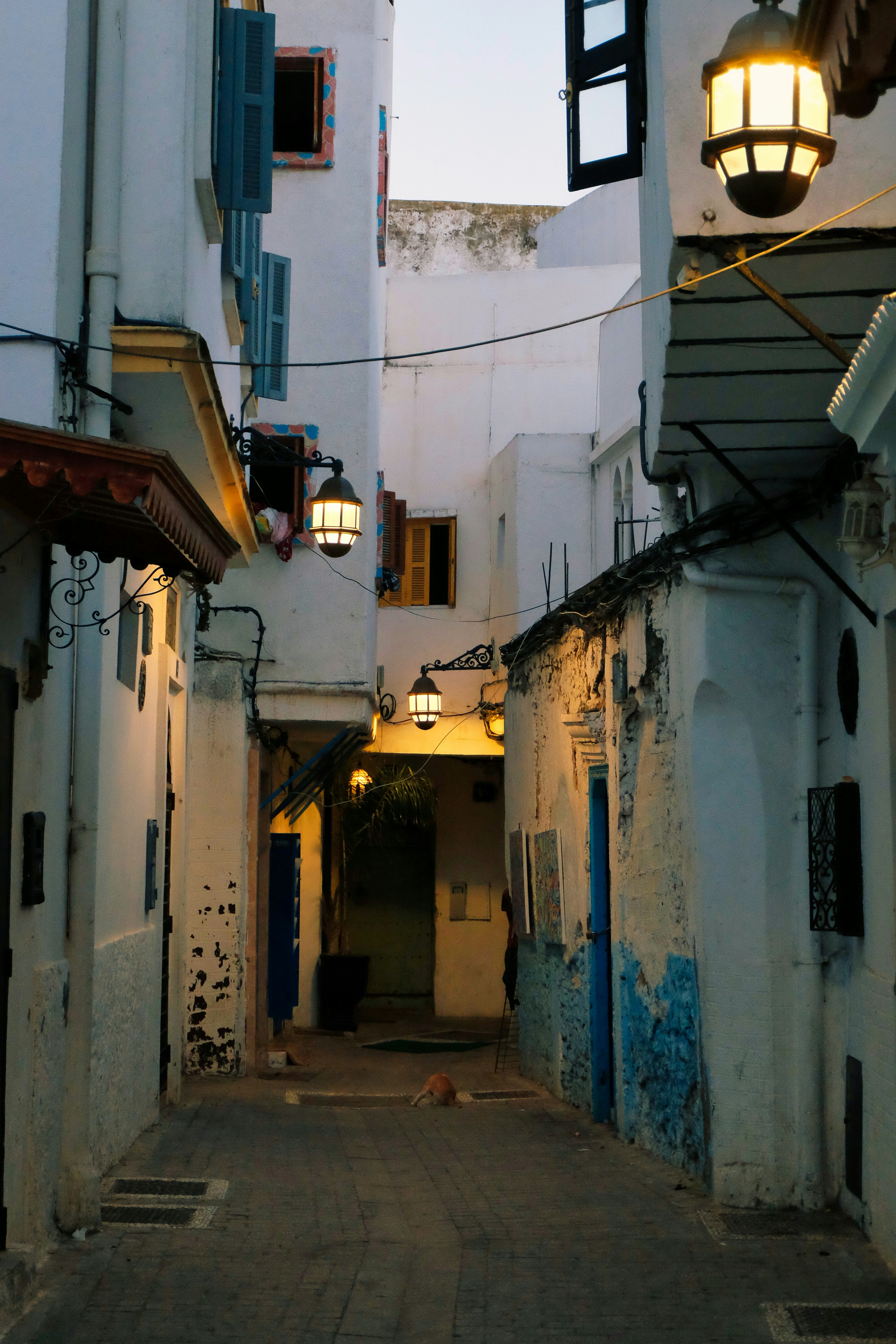 Photo by gunnarridder