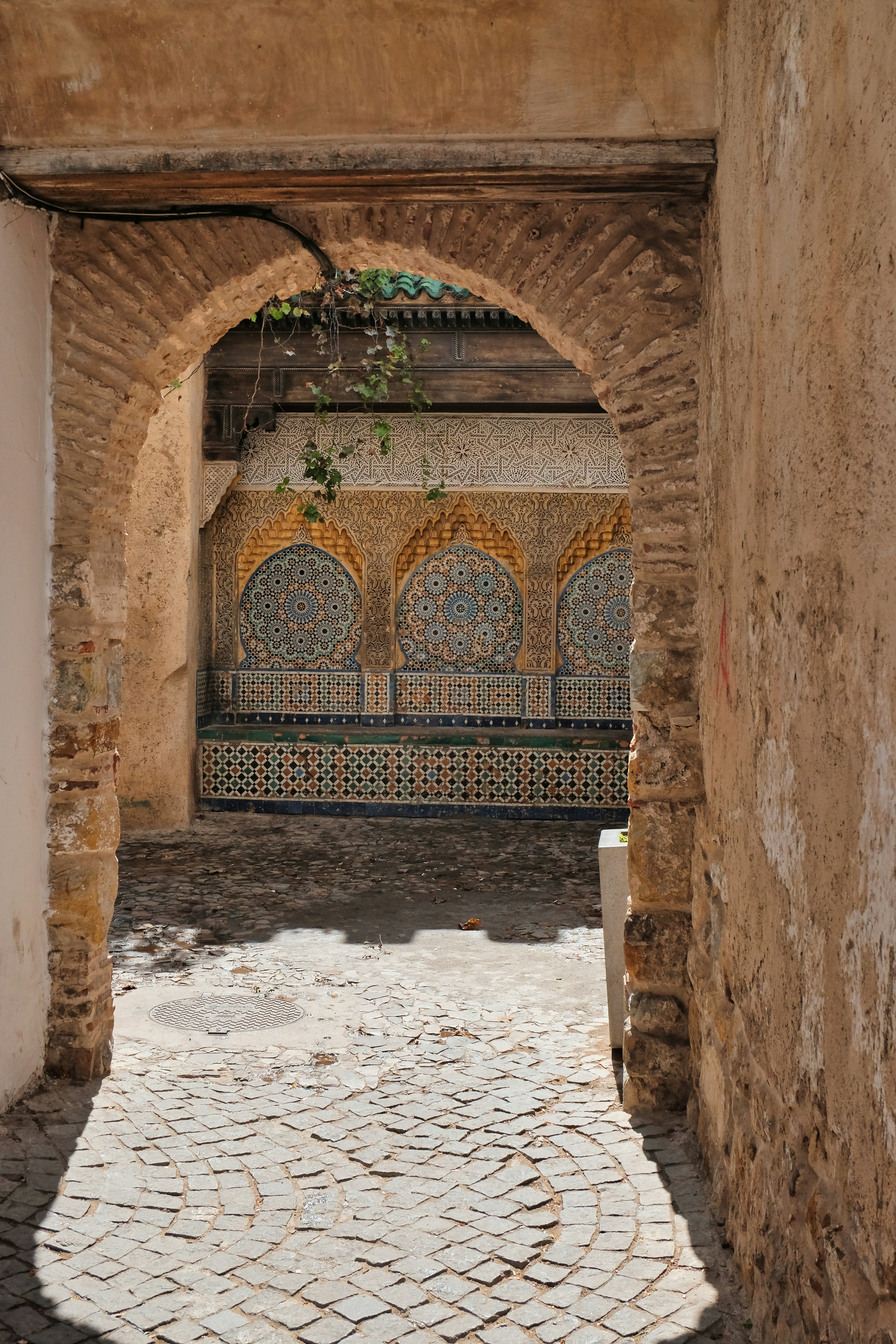 Photo by gunnarridder