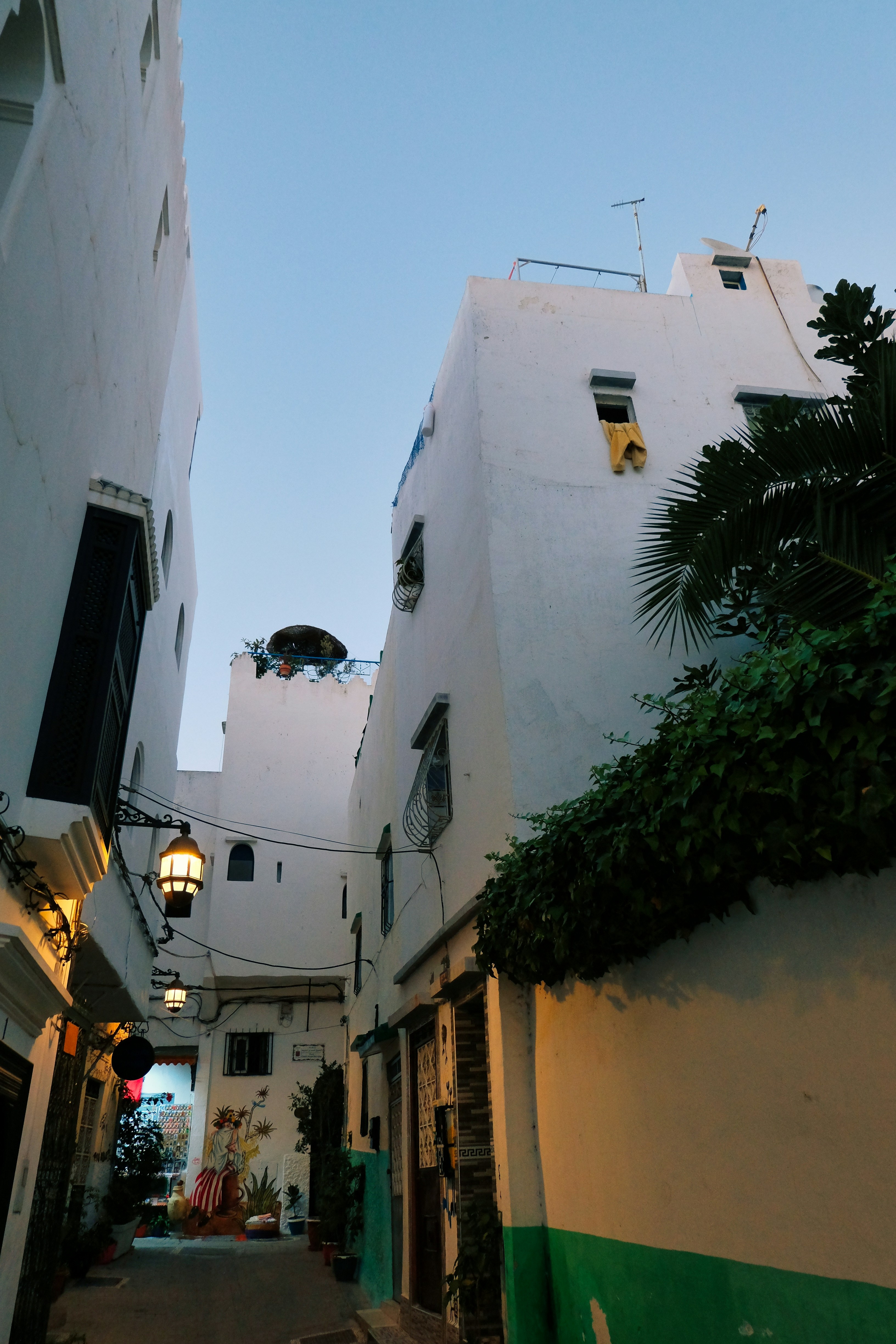 Photo by gunnarridder