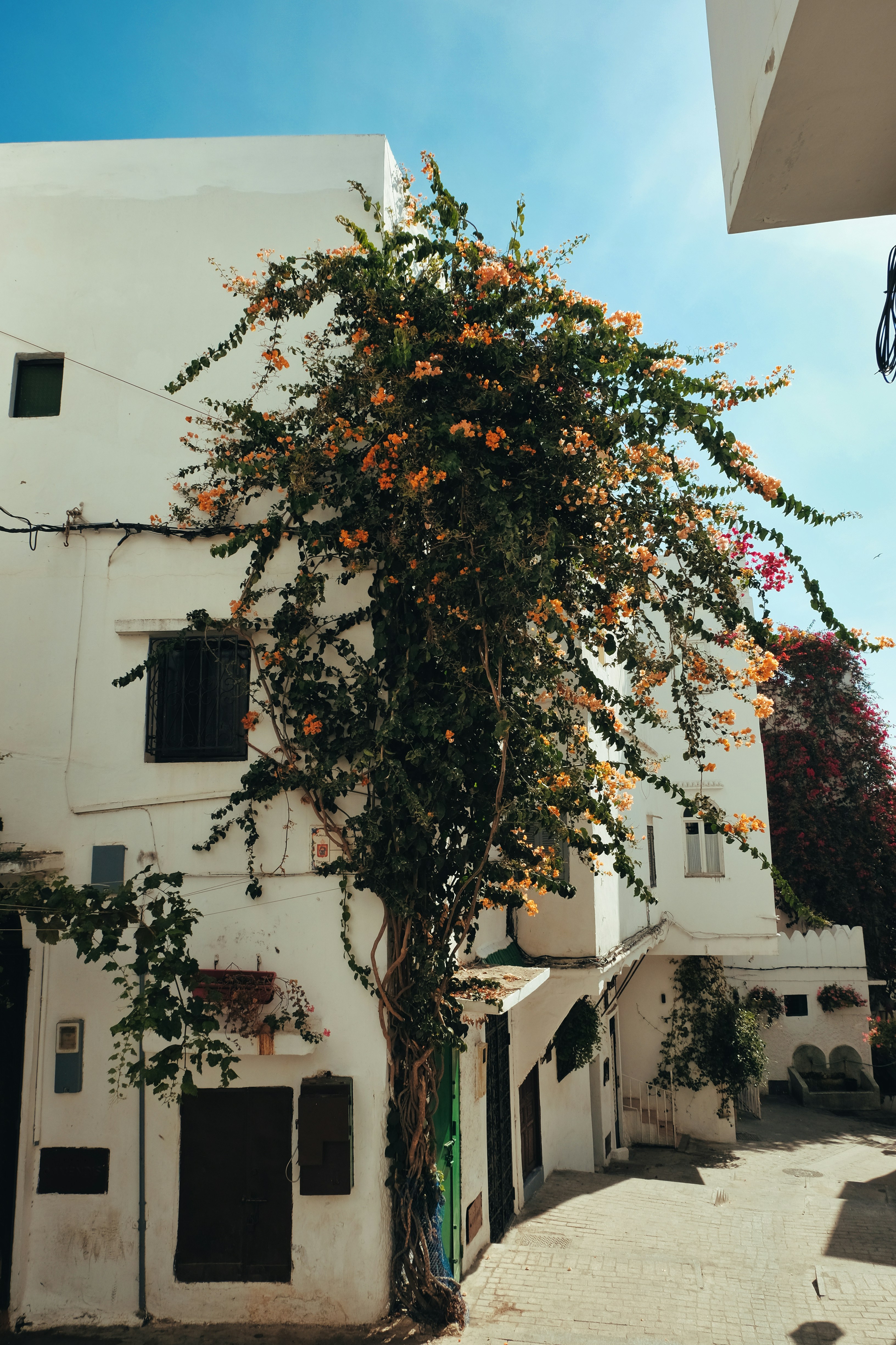 Photo by gunnarridder