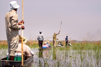 People poling boats through a grassy wetland.