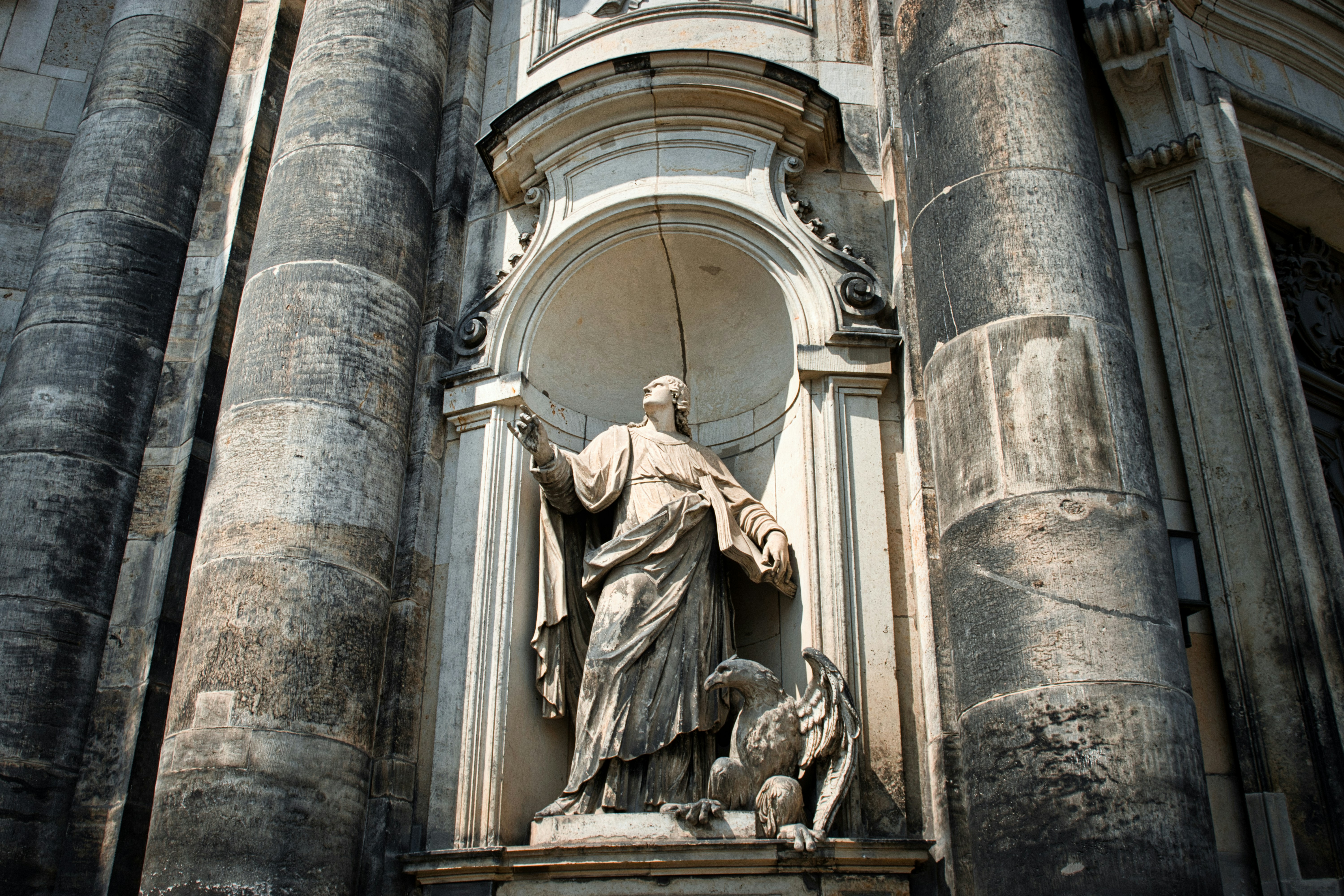 Photo by paws_and_prints