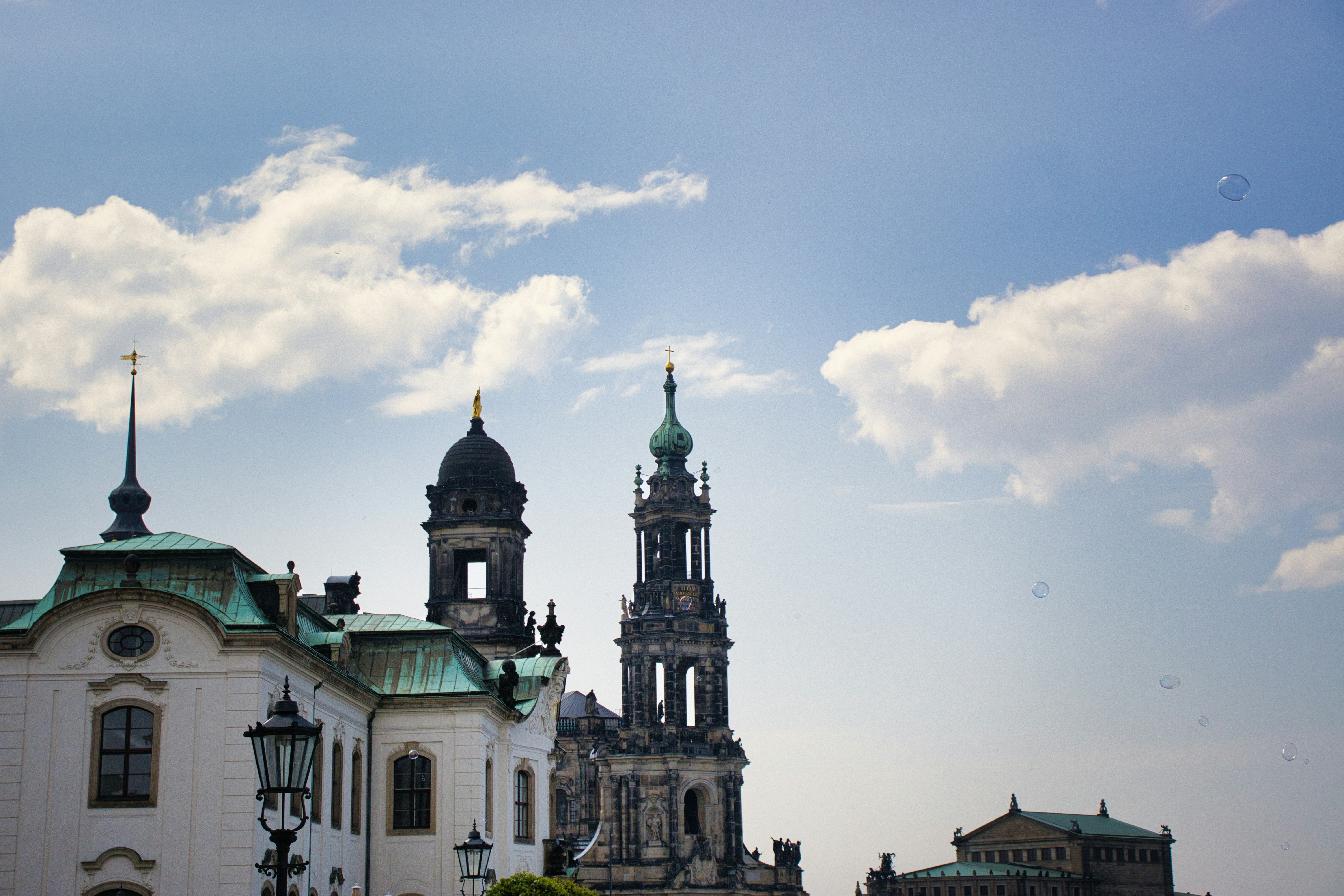 Photo by paws_and_prints