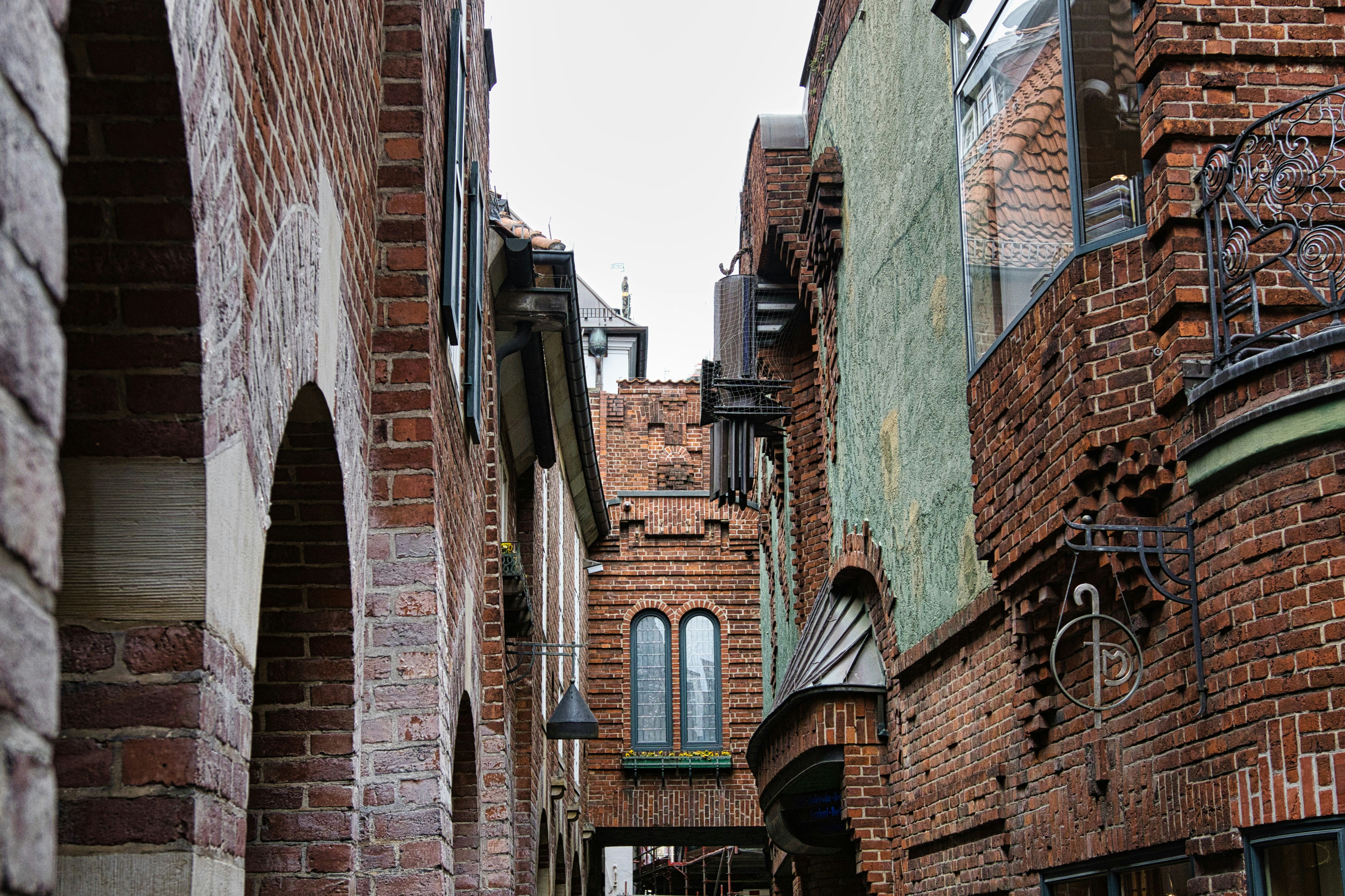 Photo by paws_and_prints