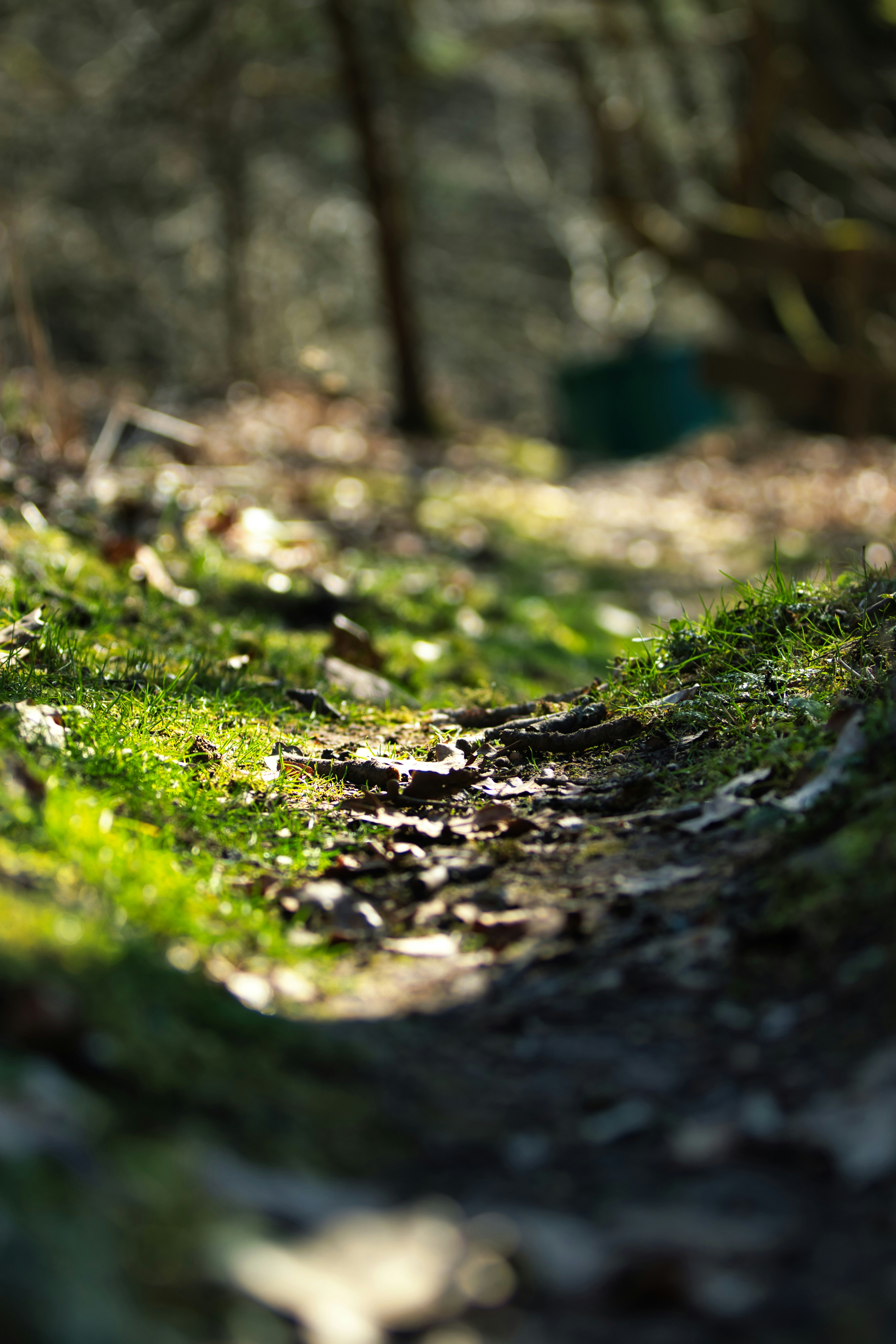 Photo by paws_and_prints