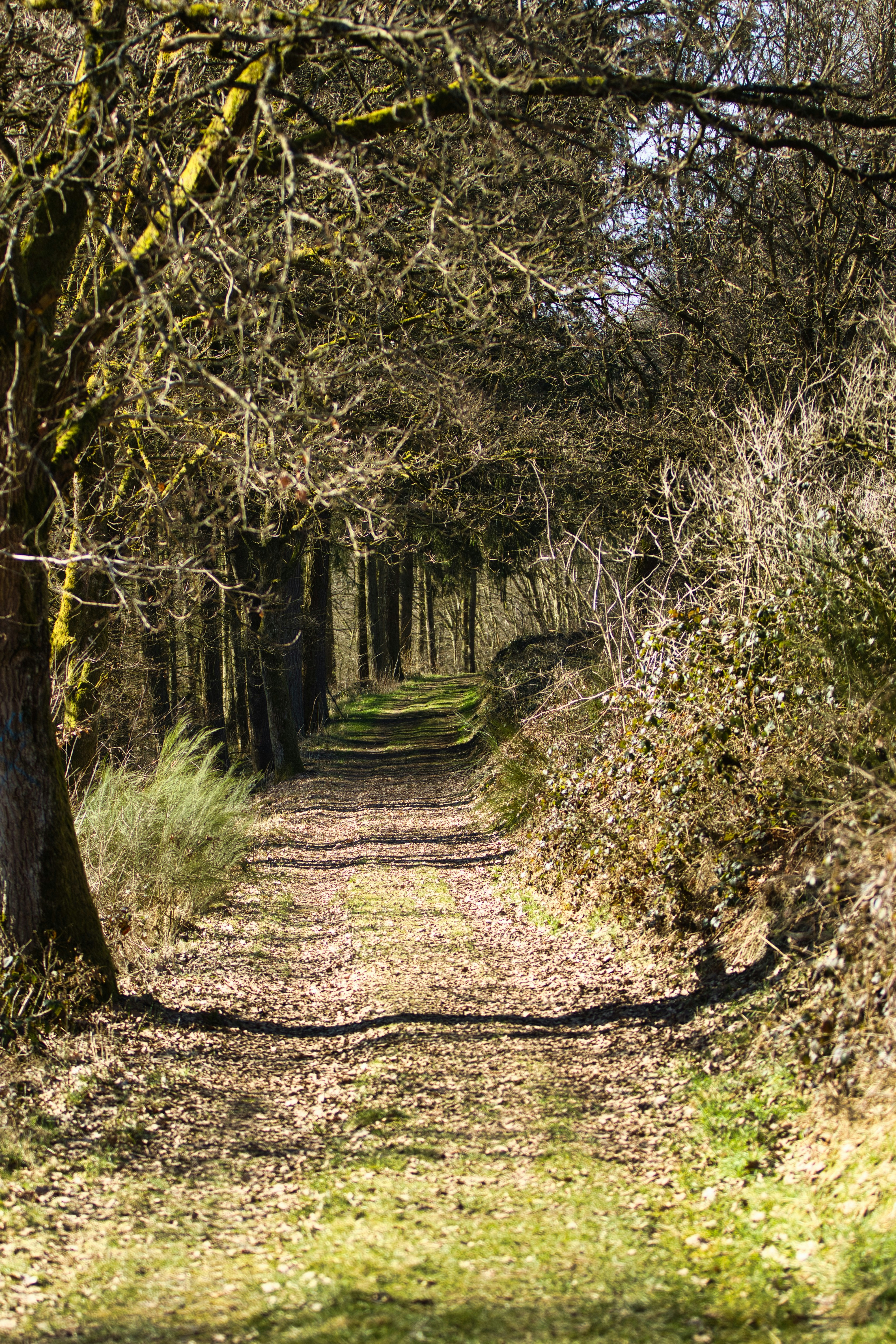 Photo by paws_and_prints