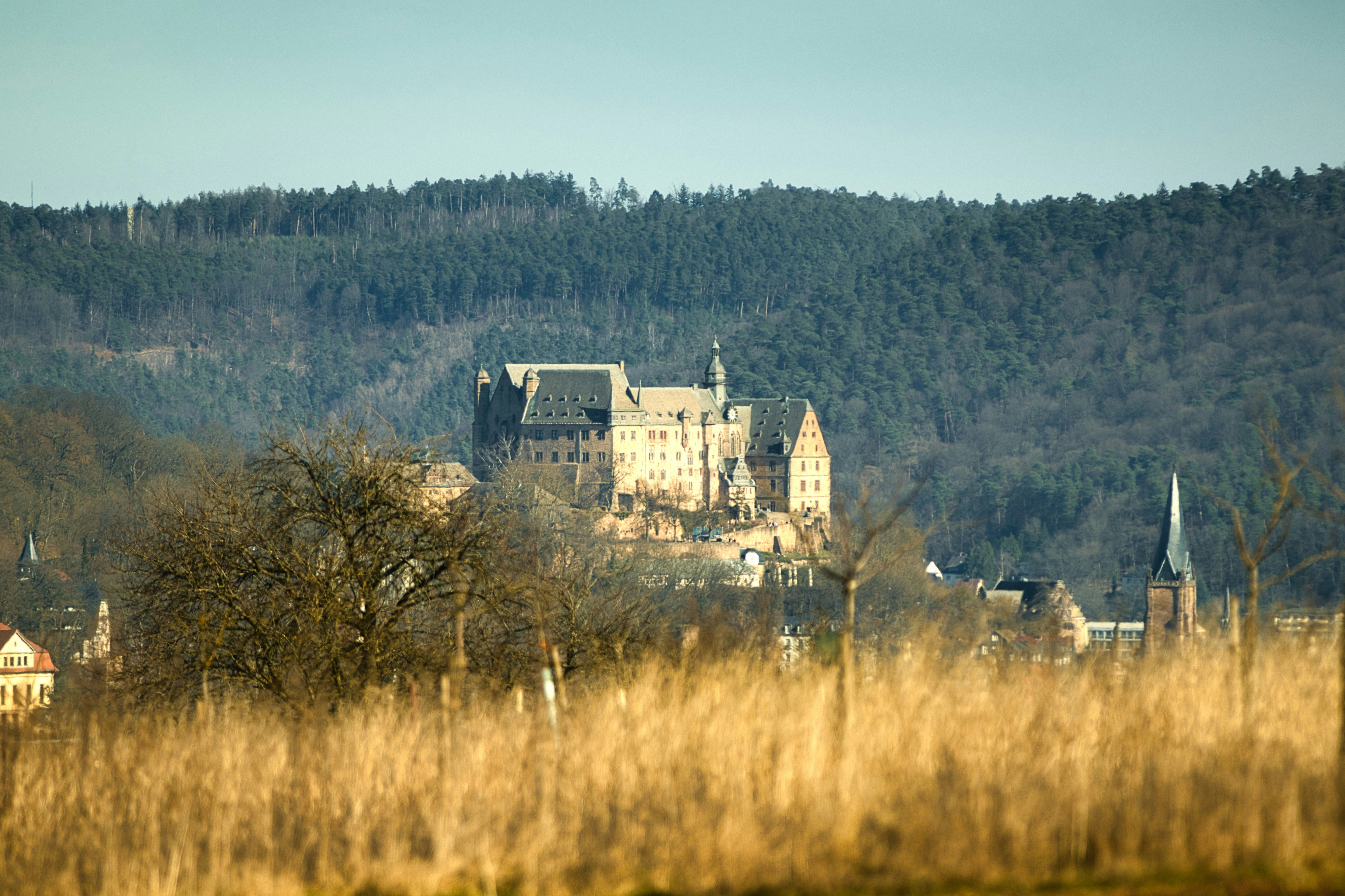 Photo by paws_and_prints