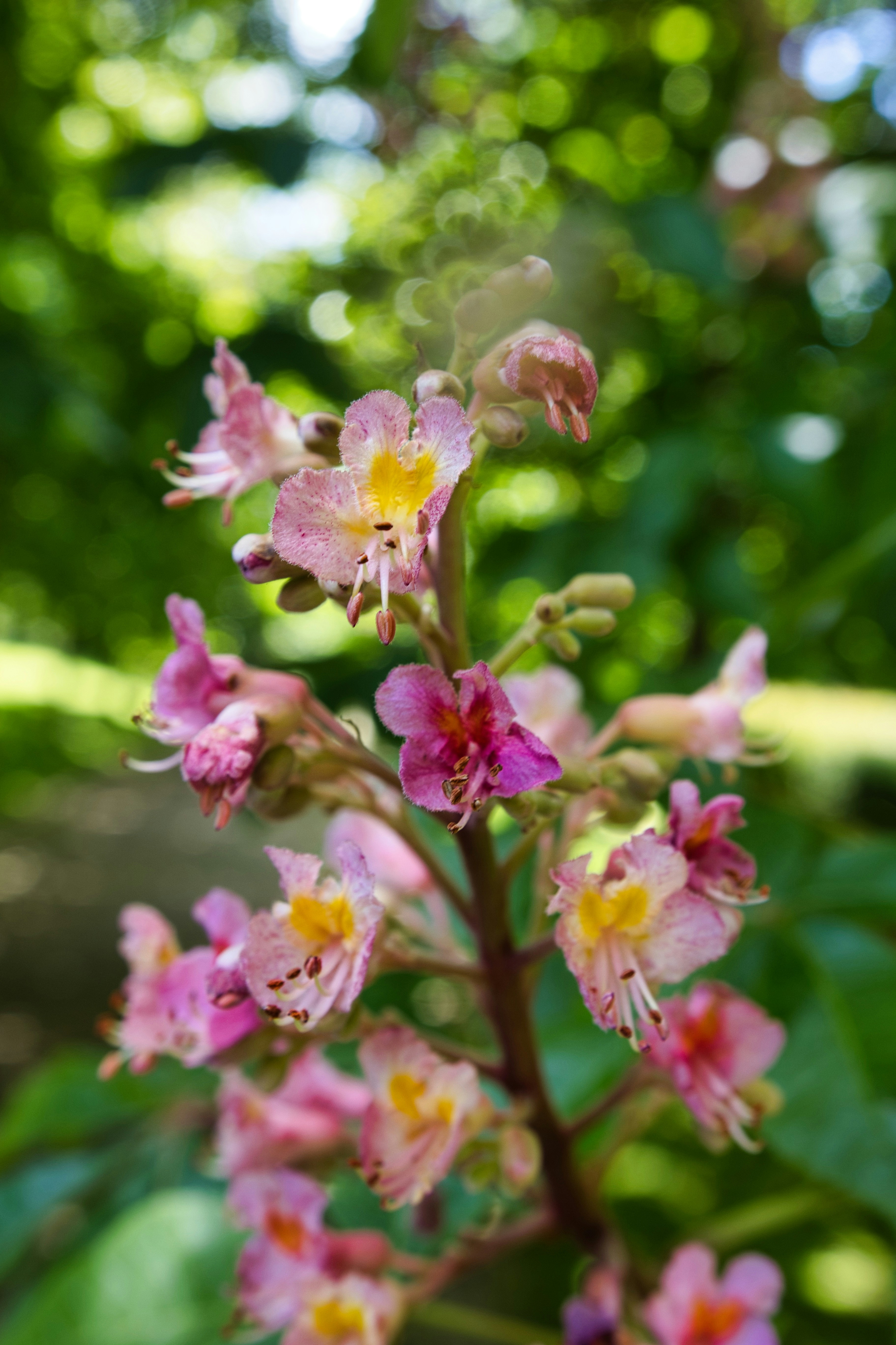 Photo by paws_and_prints