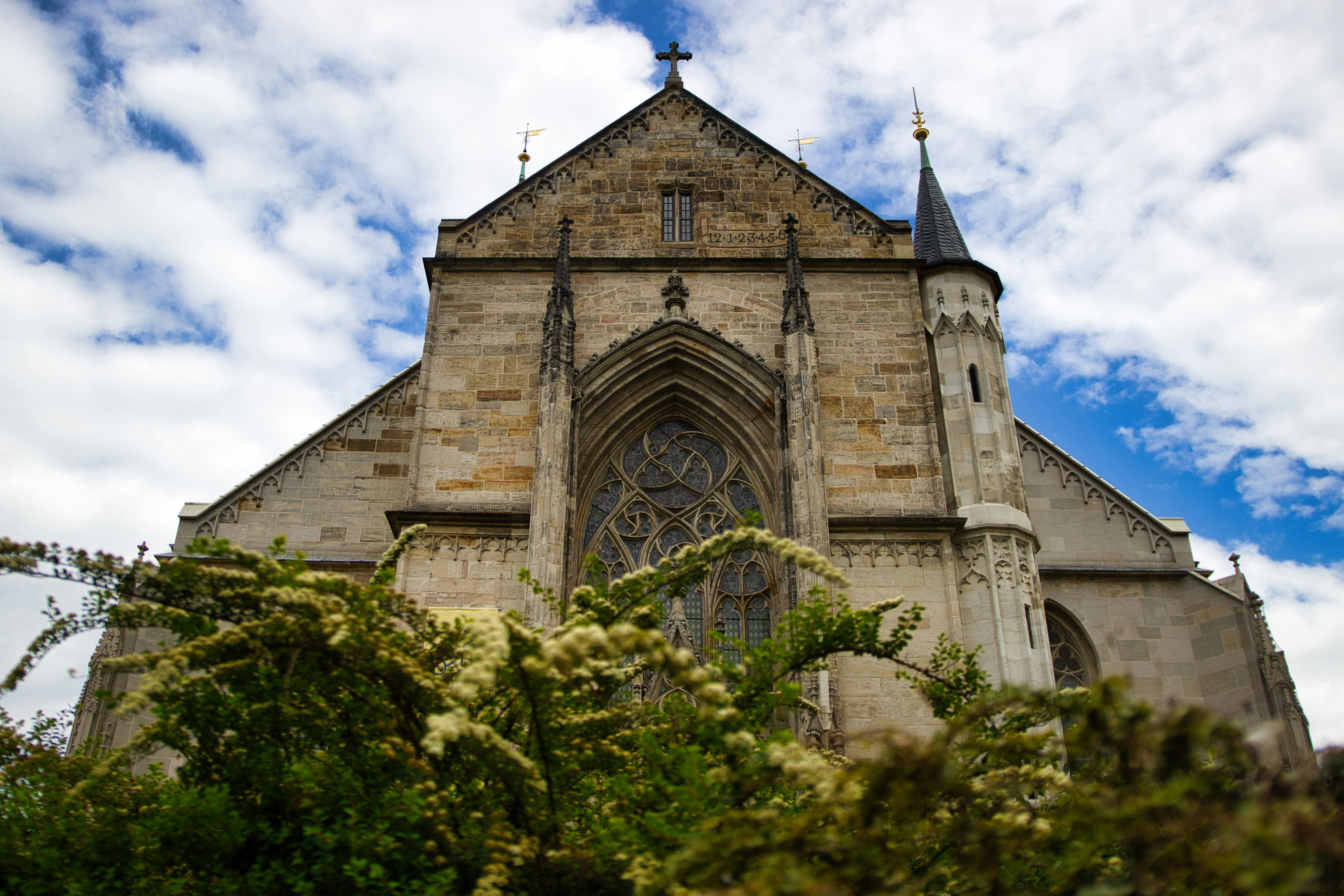 Photo by paws_and_prints