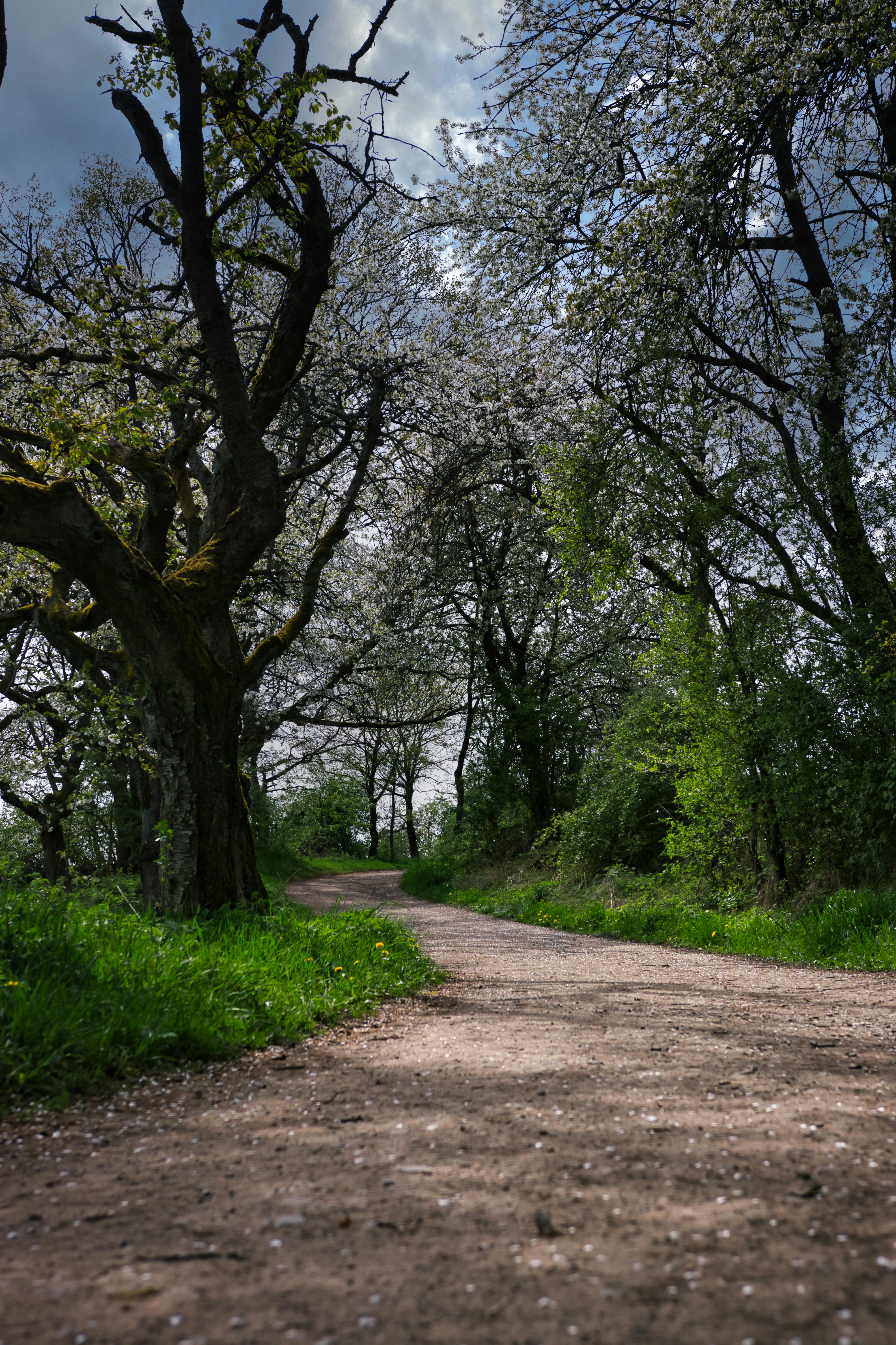 Photo by paws_and_prints