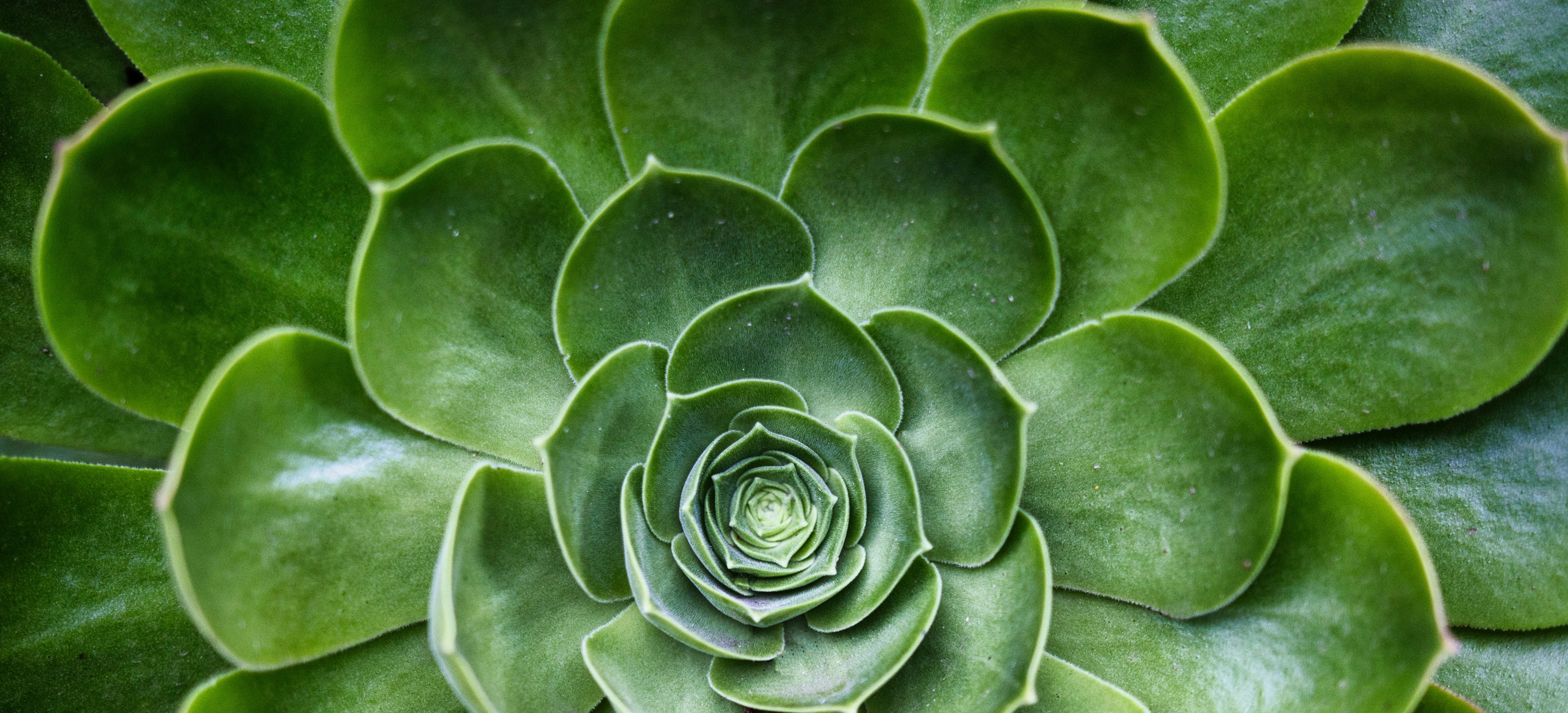 Photo by paws_and_prints