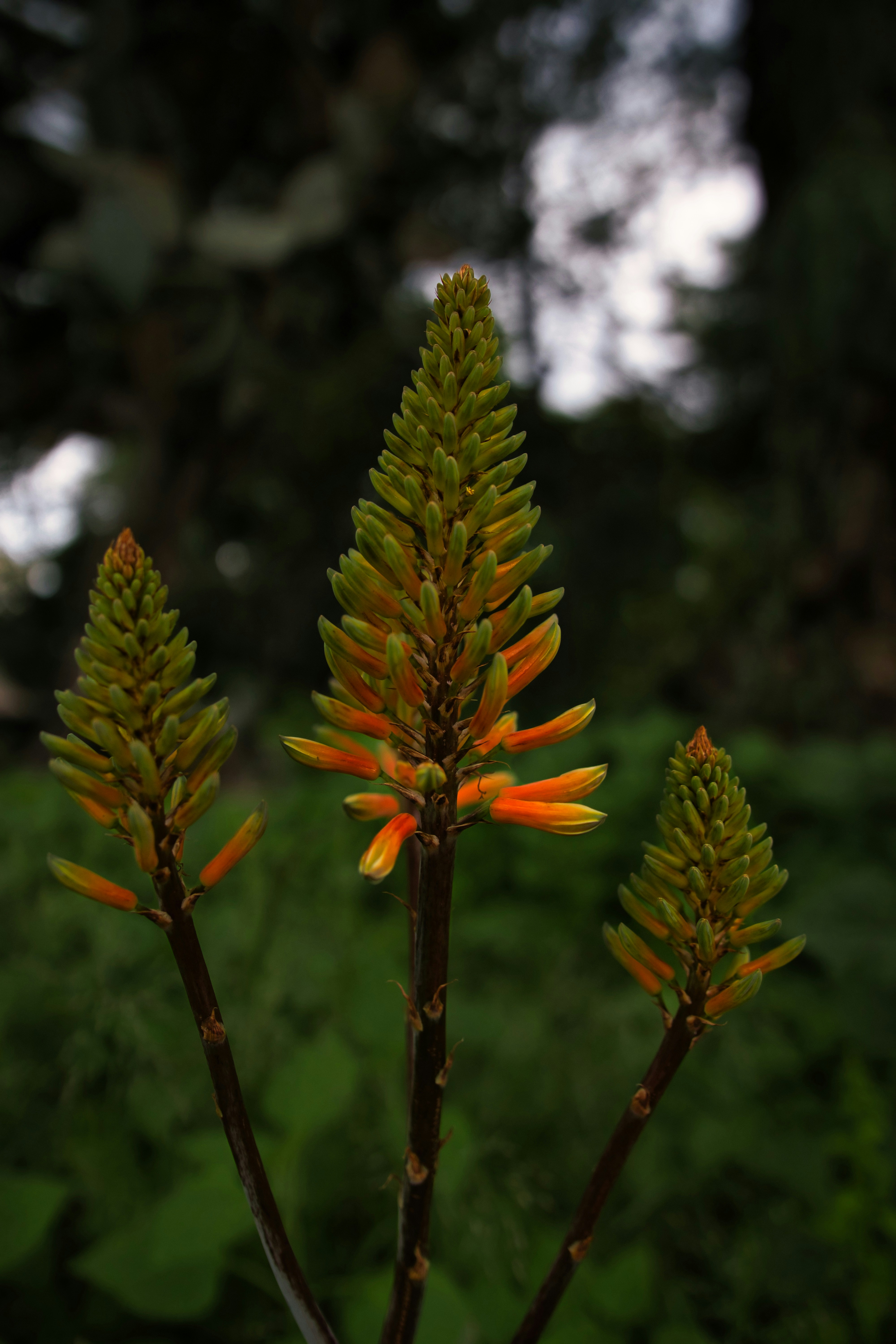 Photo by paws_and_prints