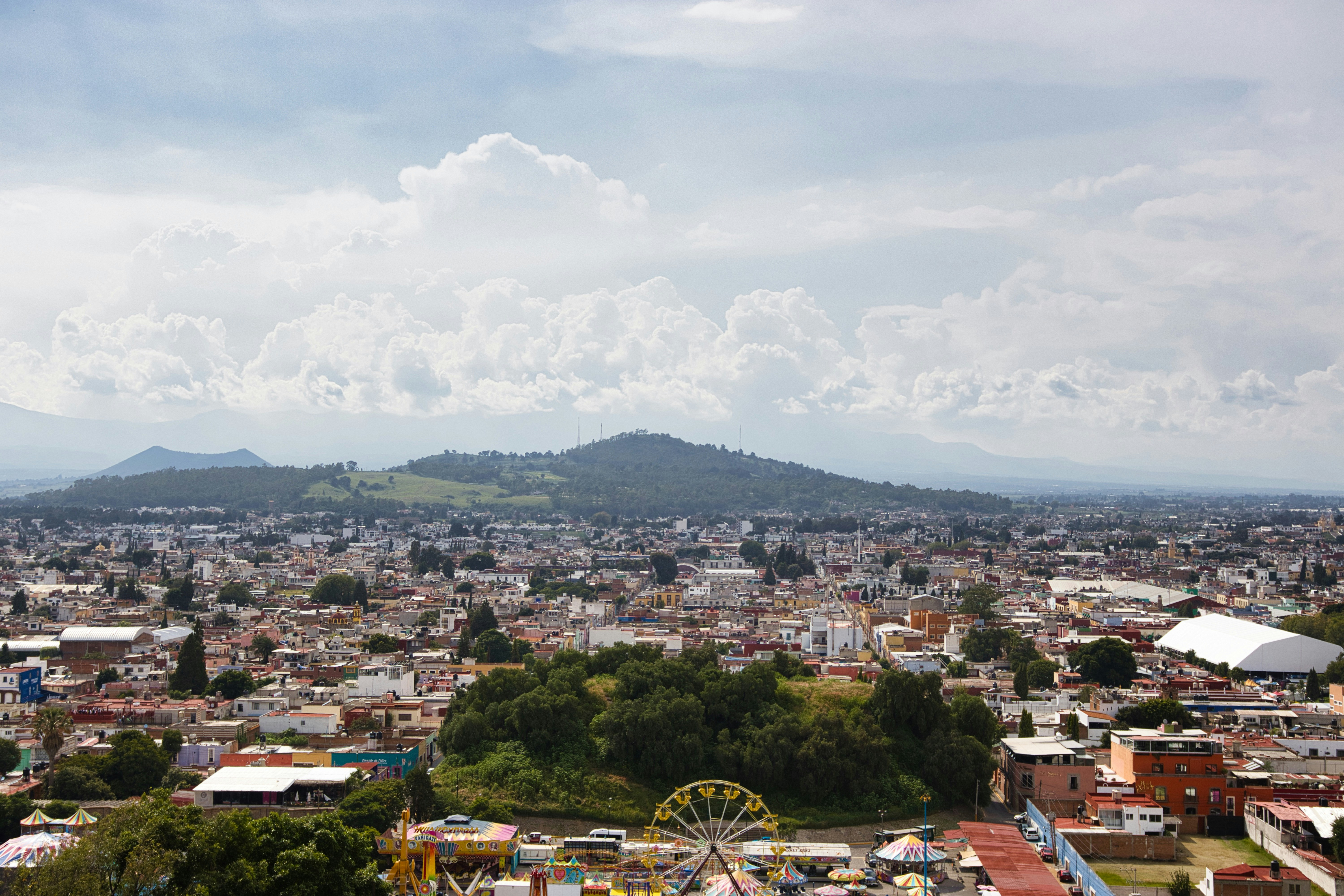 Photo by paws_and_prints