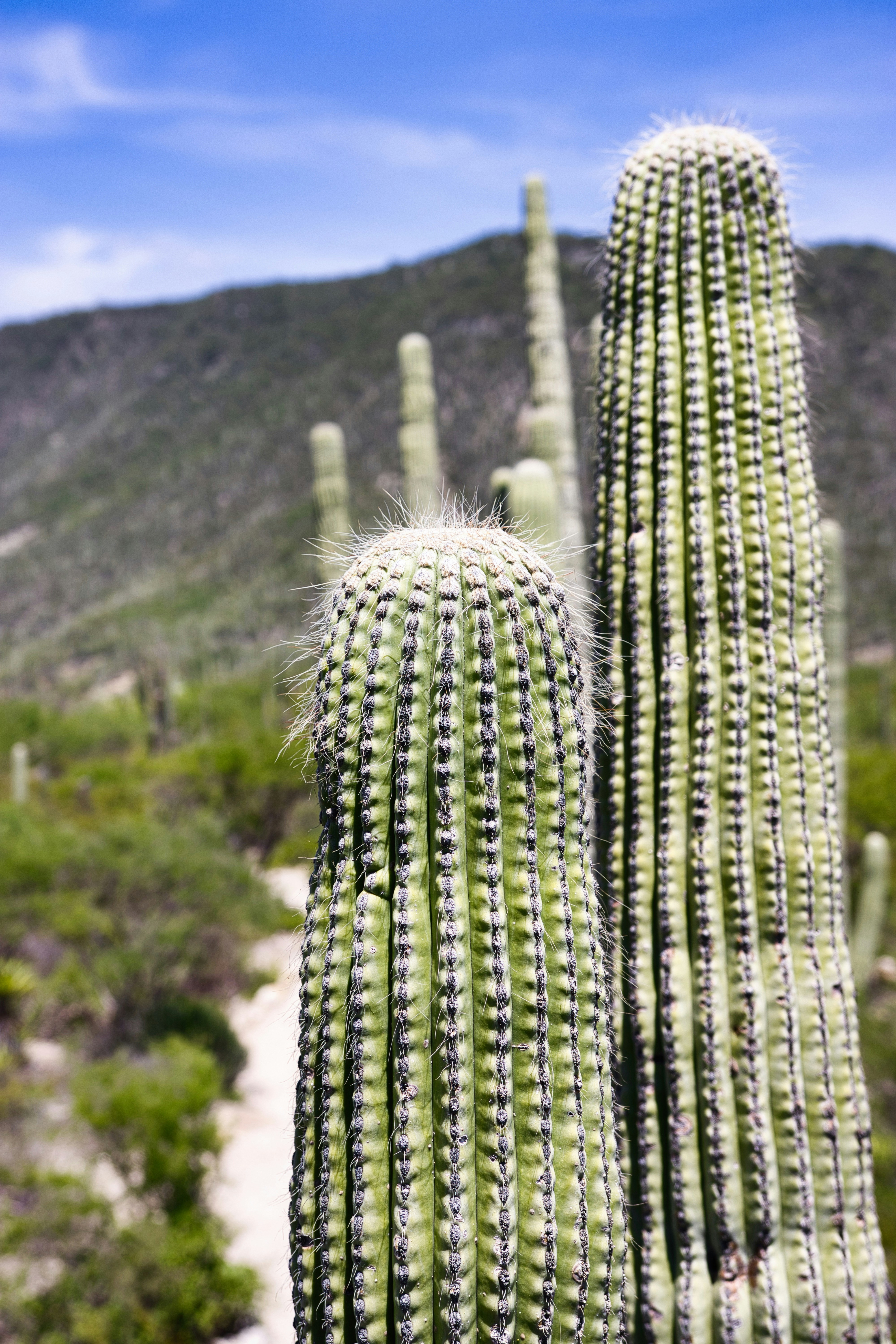 Photo by paws_and_prints