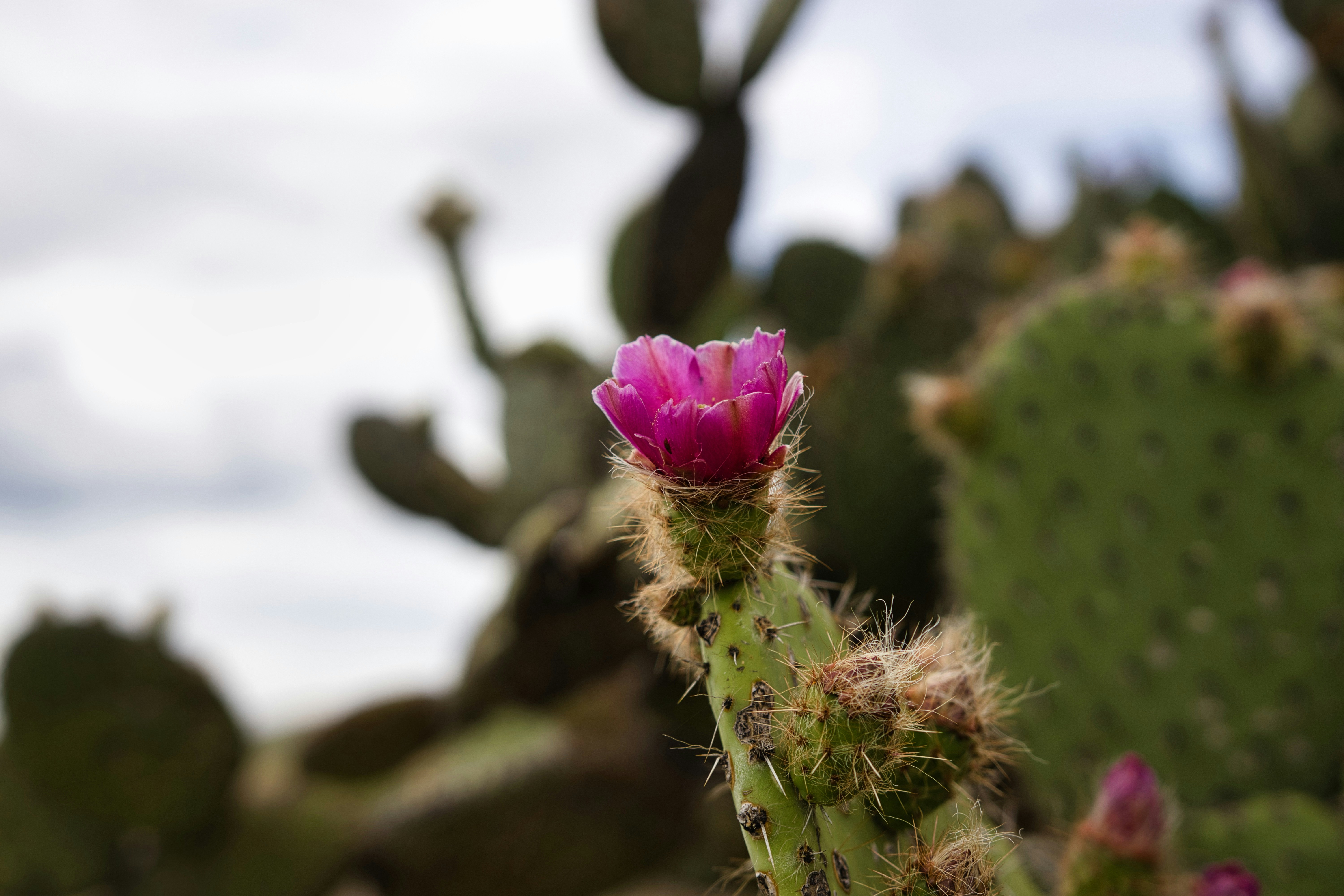 Photo by paws_and_prints