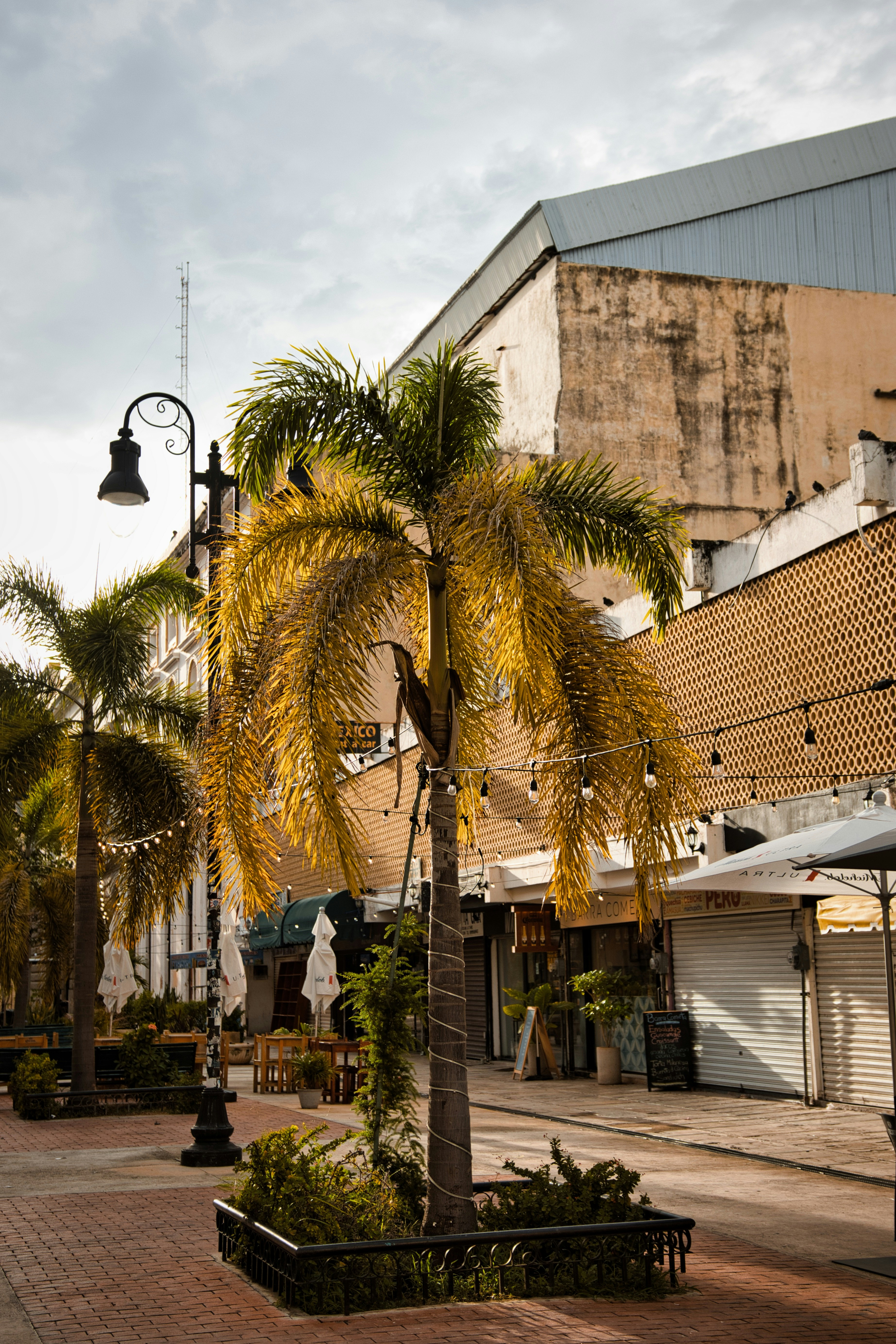 Festival Internacional de la Cultura Maya