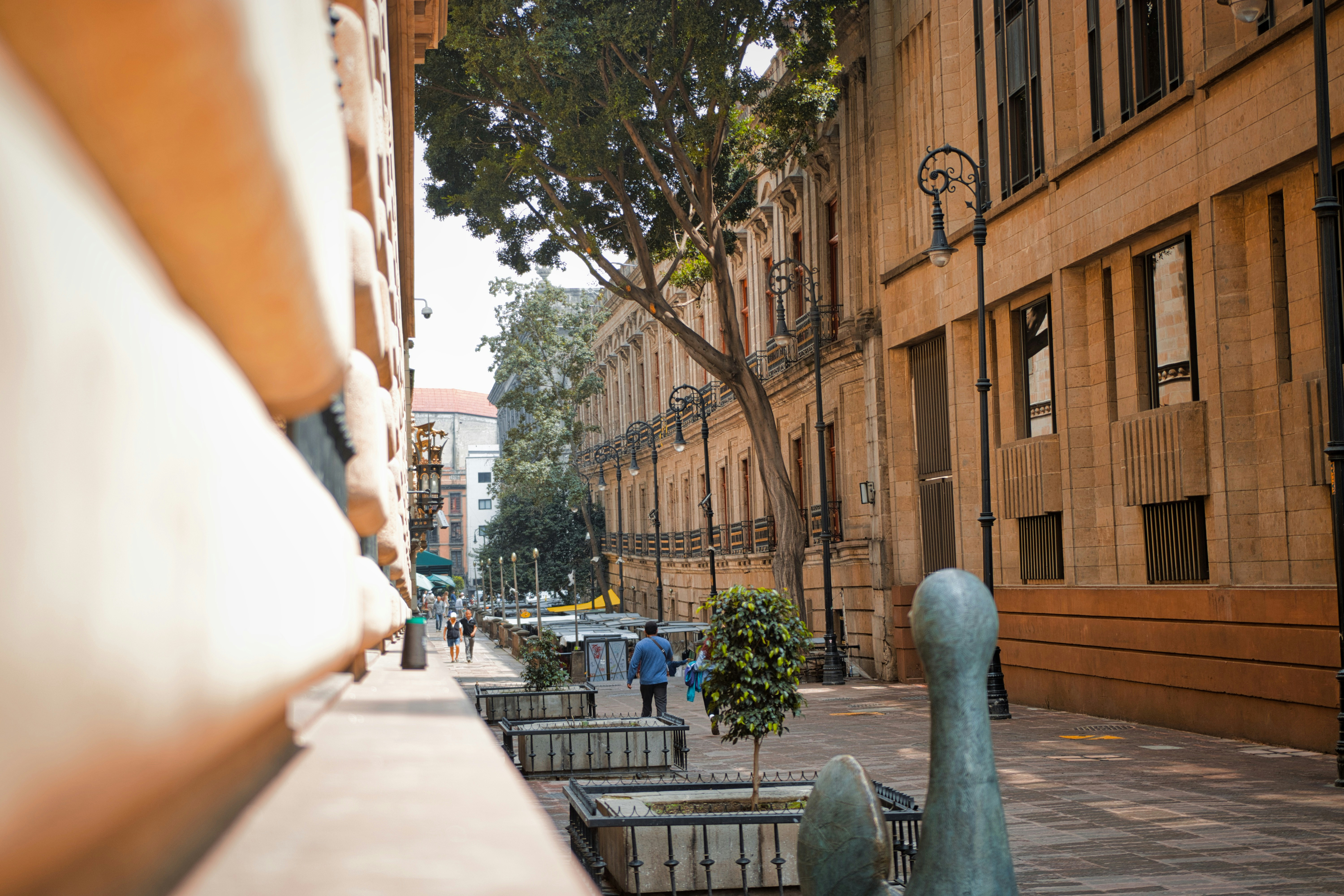 Photo by paws_and_prints