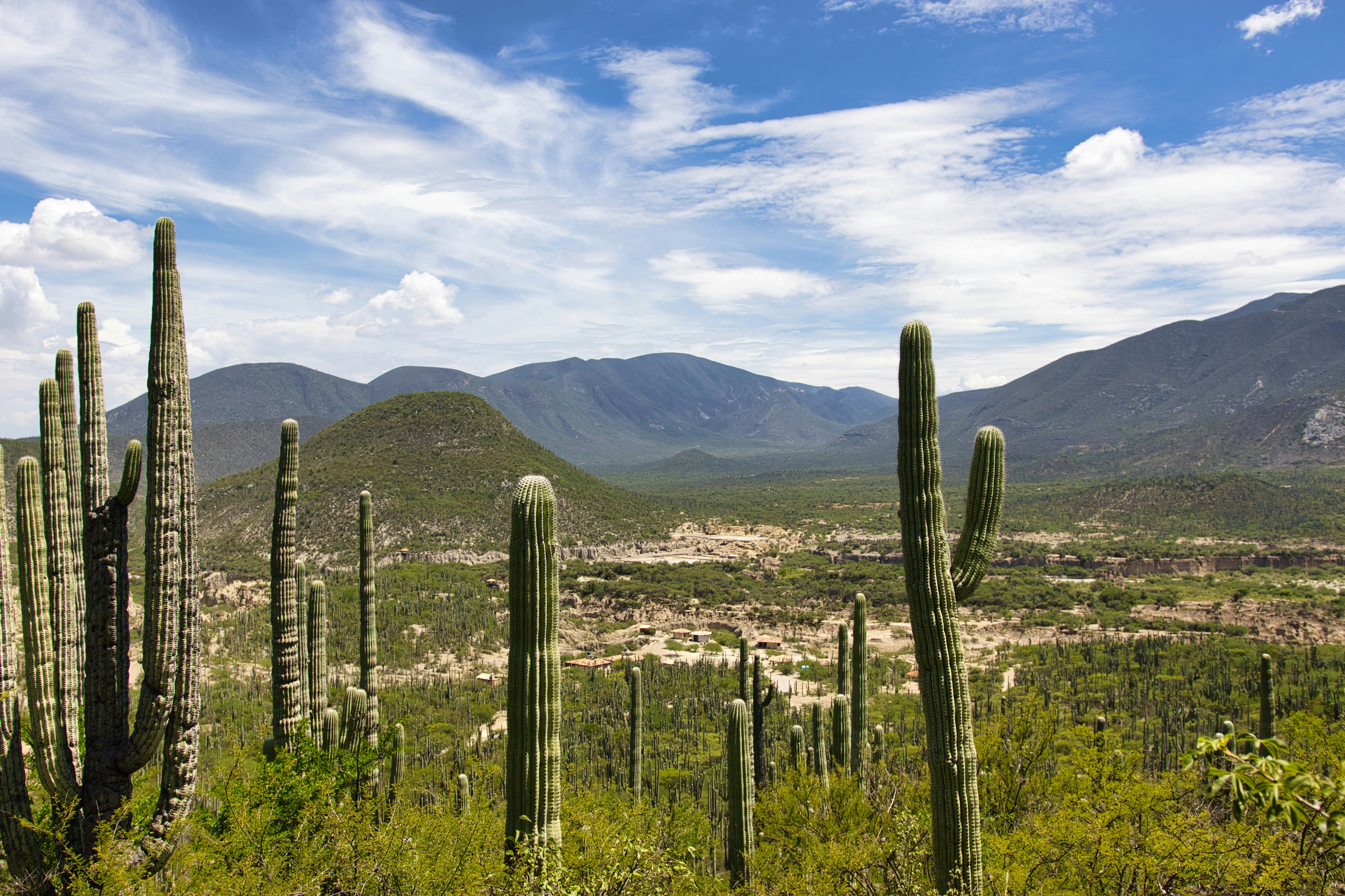 Stay Connected in Tucson