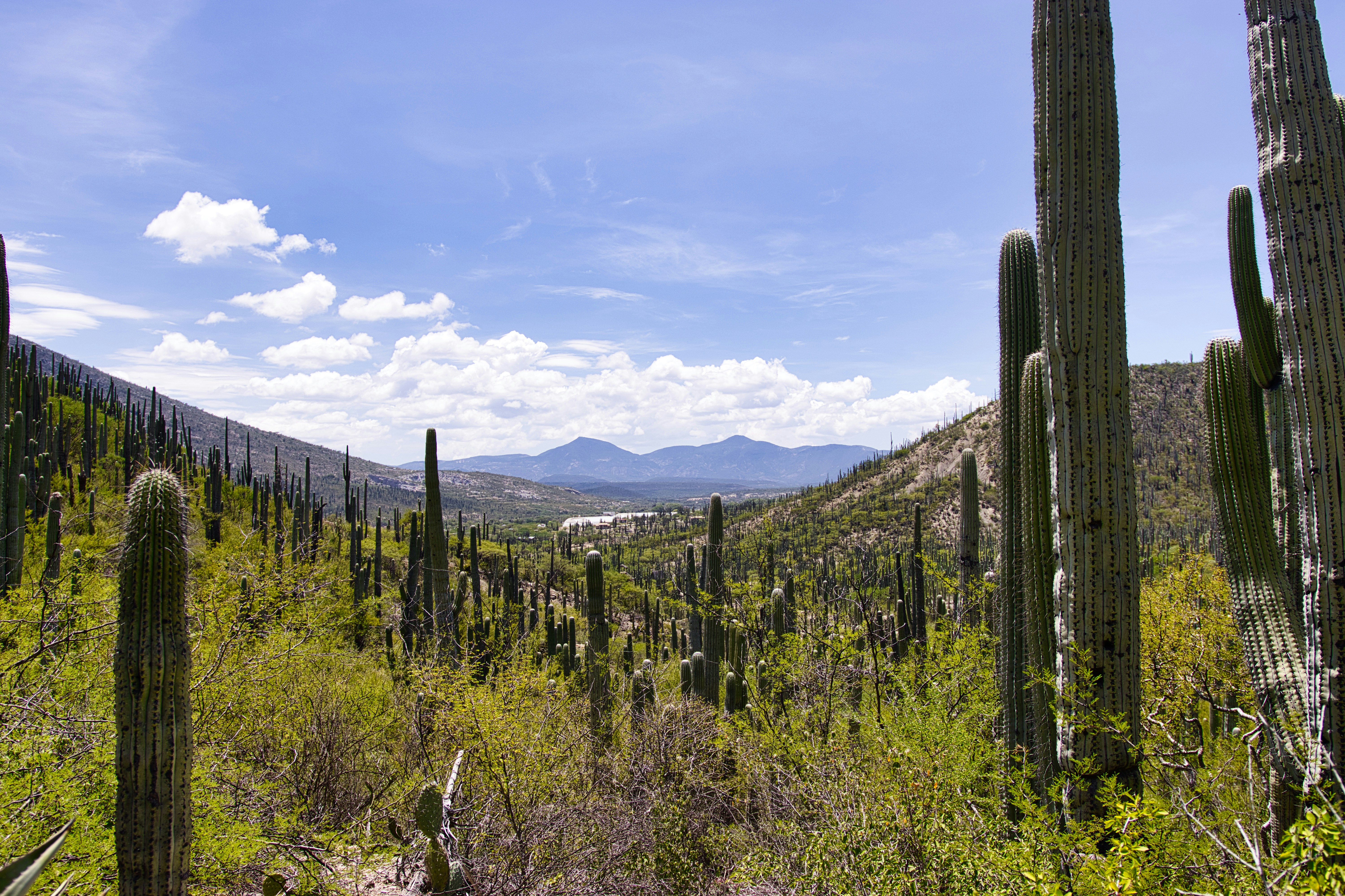 Photo by paws_and_prints