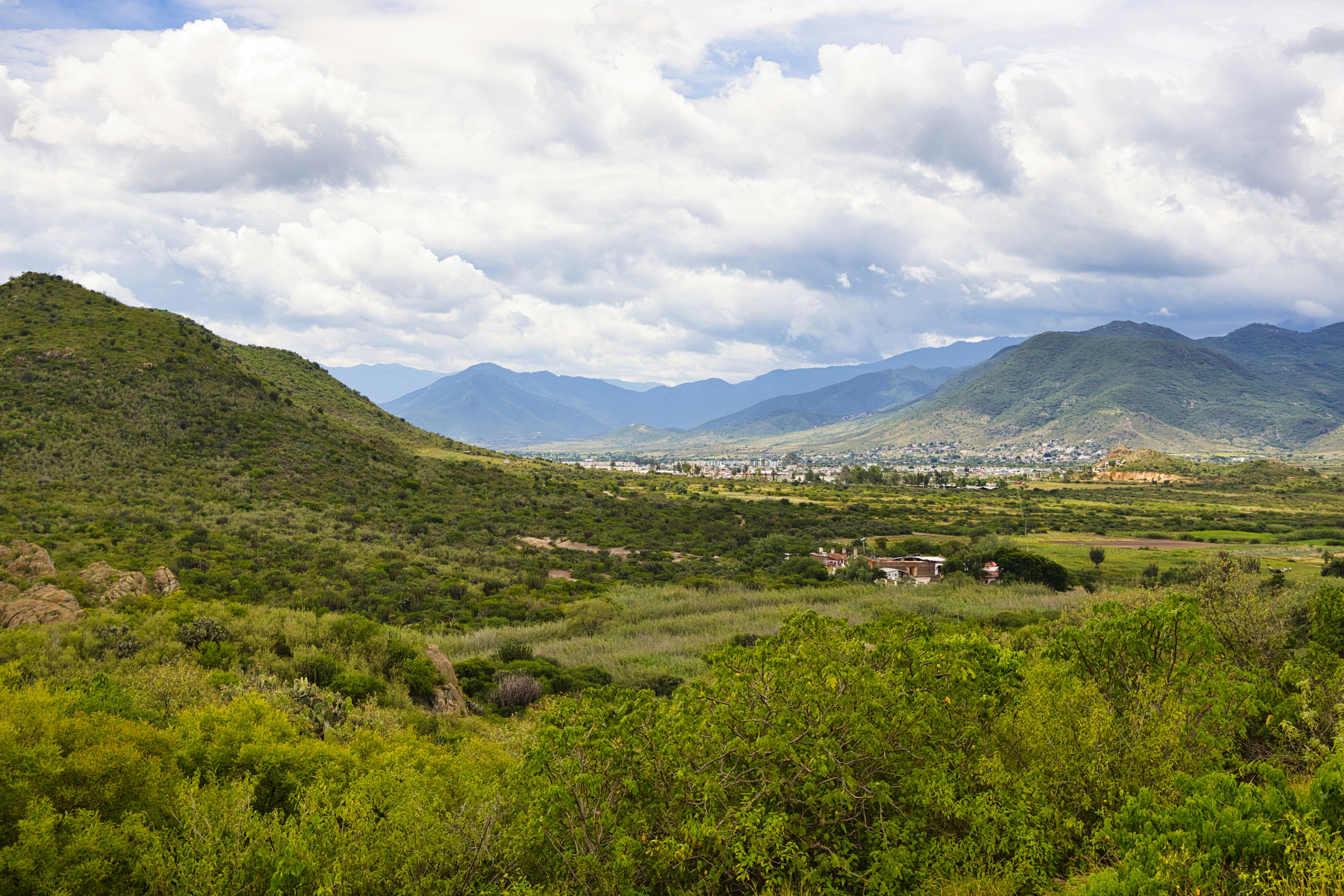 Photo by paws_and_prints