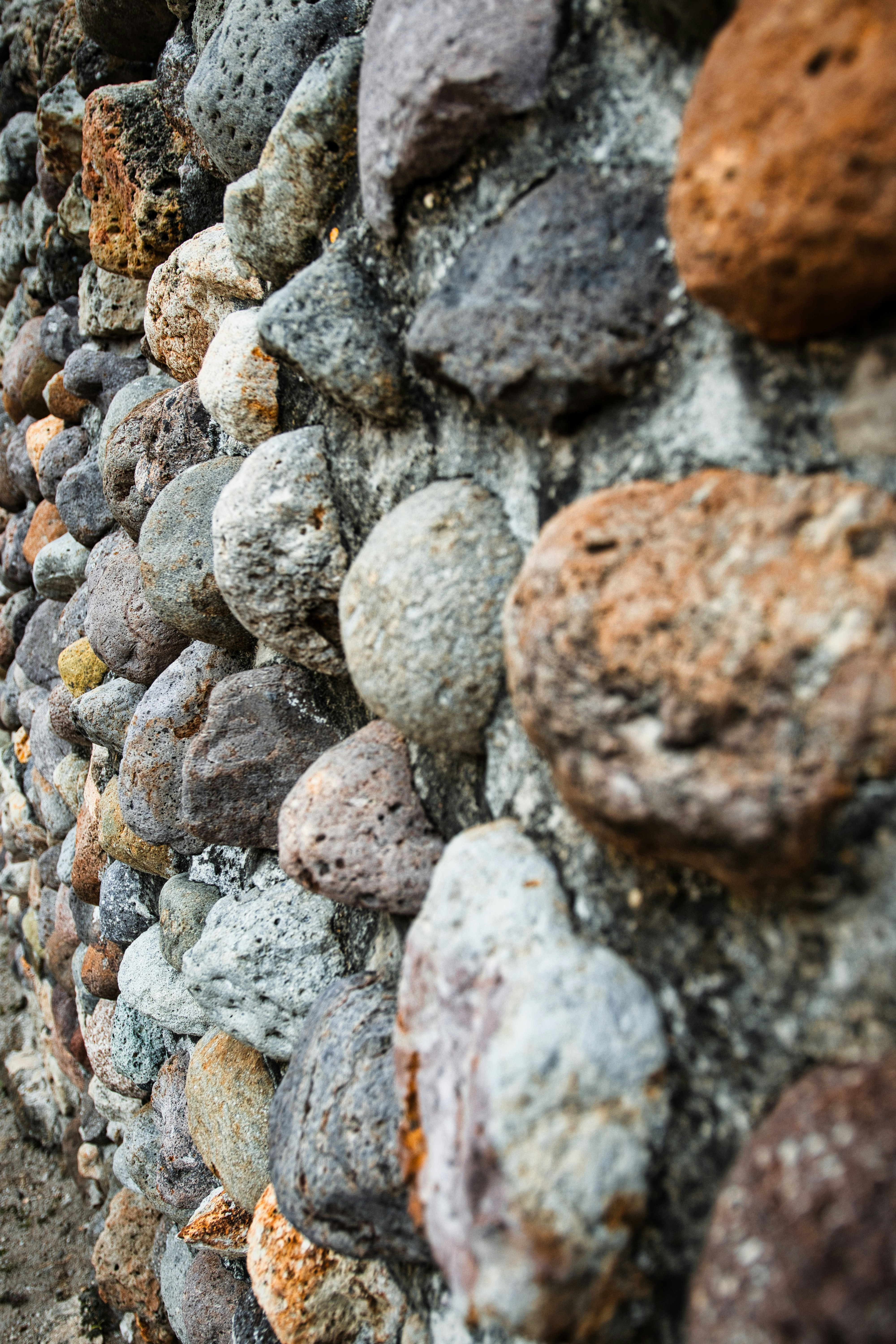 Photo by paws_and_prints