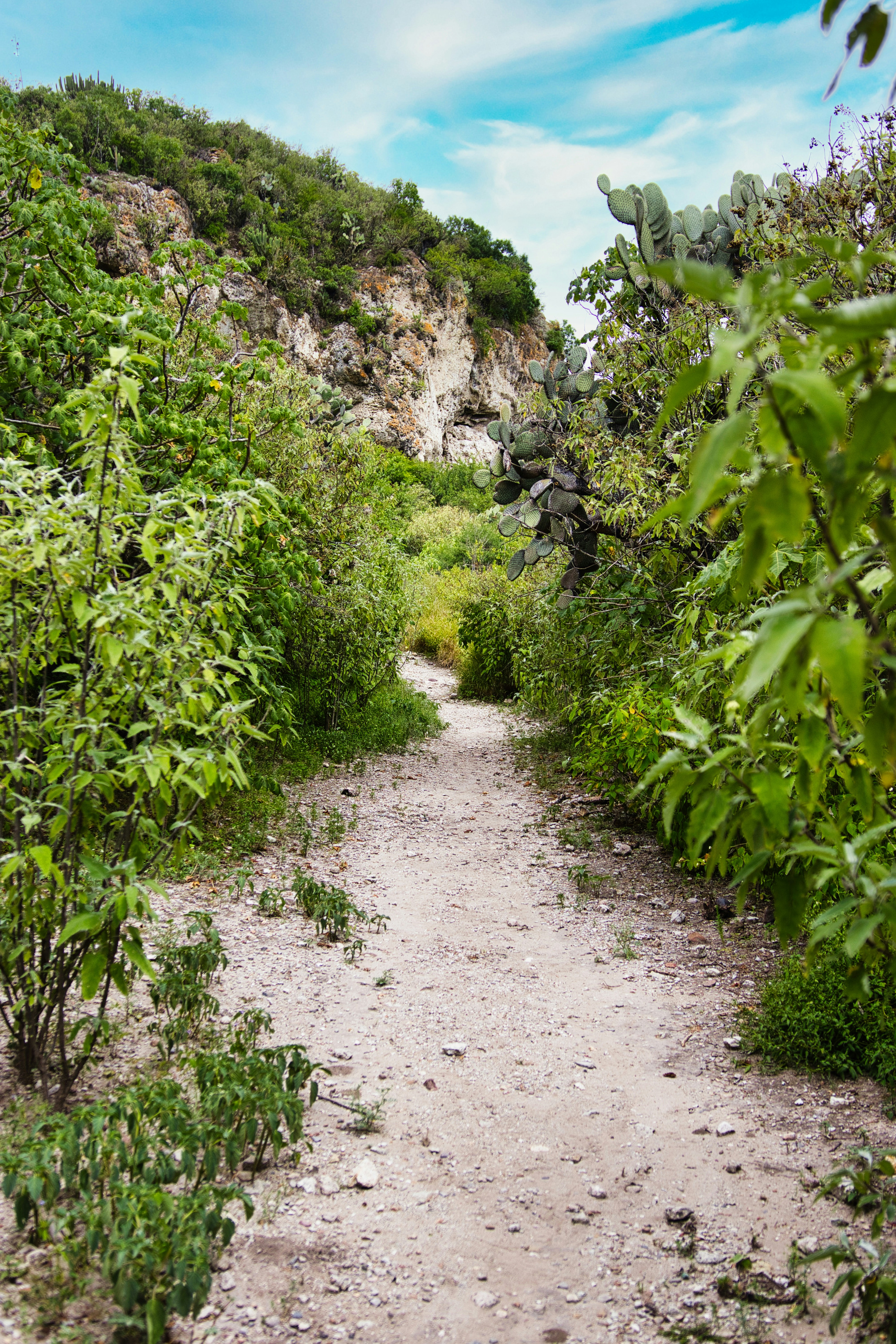 Photo by paws_and_prints