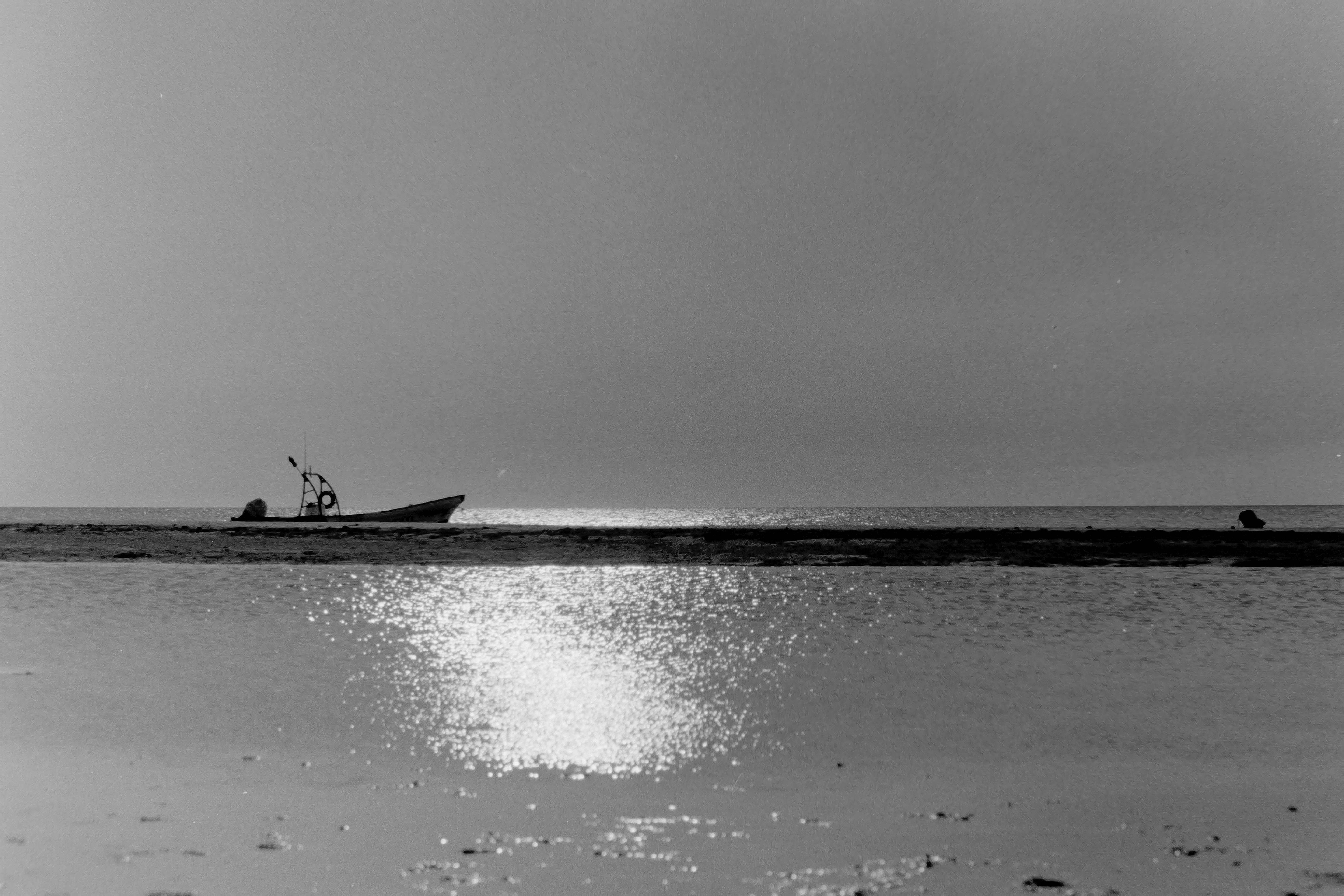 Photo by diego_inclan