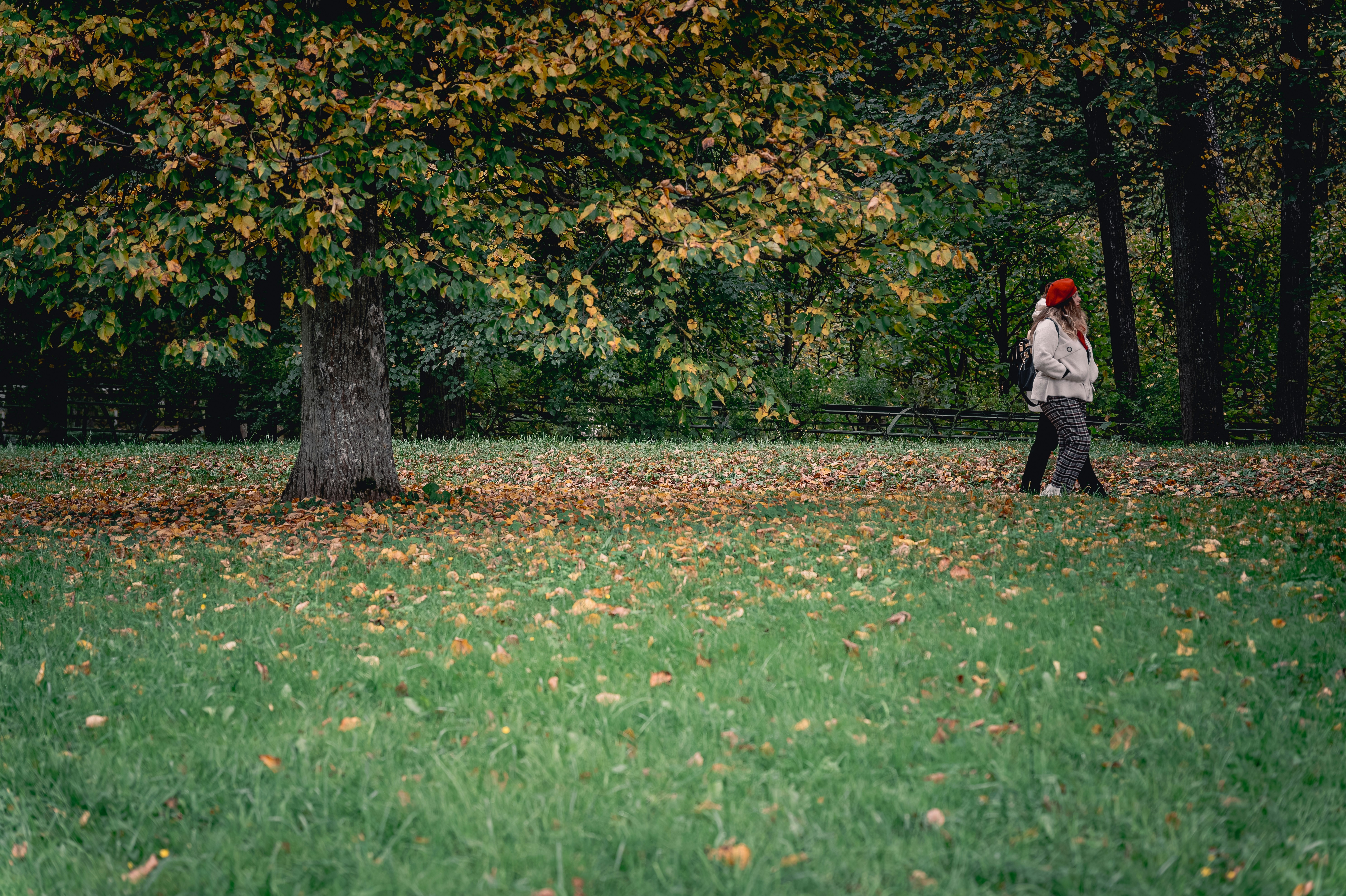 Two people walking in a park during autumn