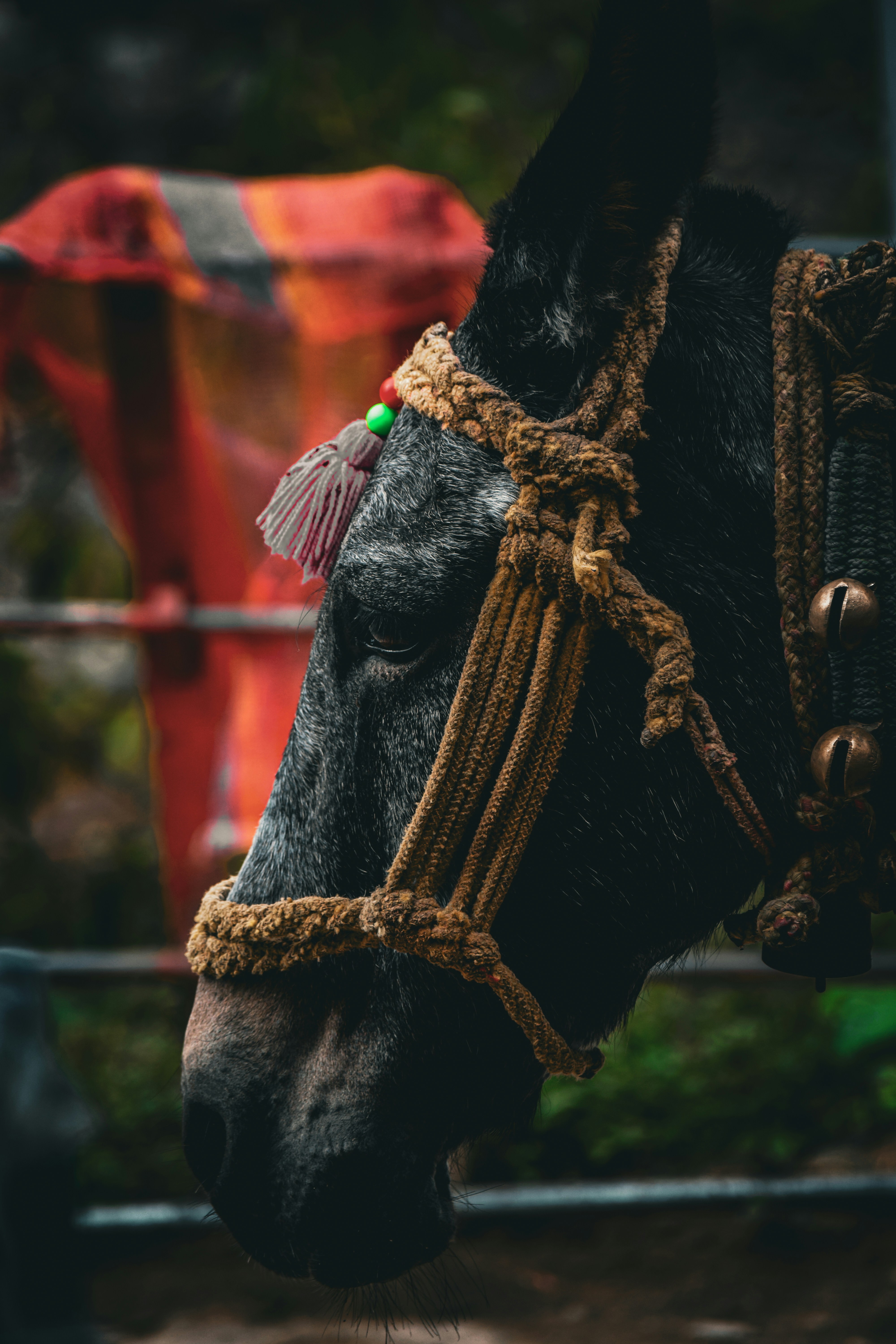 Photo by iamthespy0323