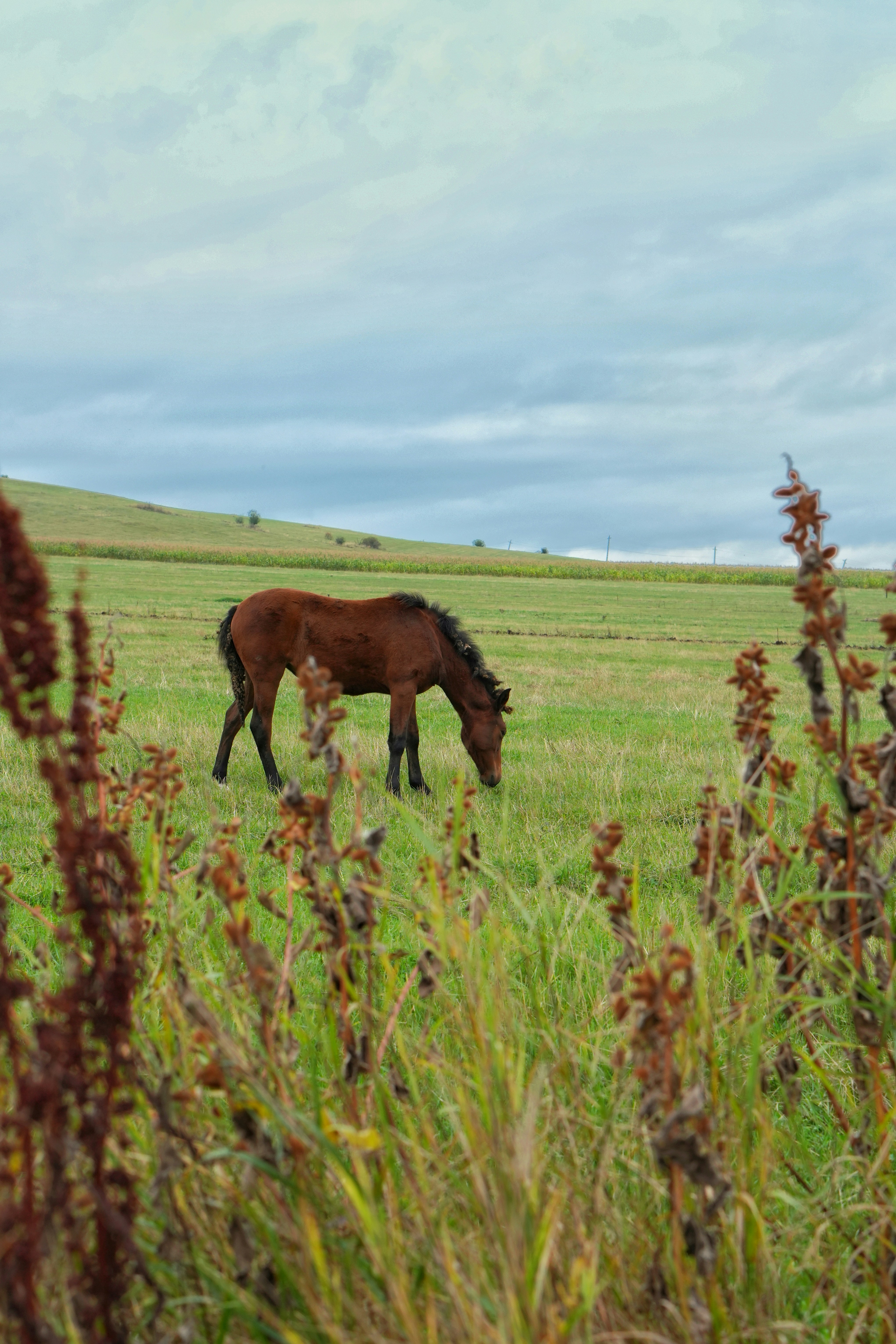 Photo by jack5parrow