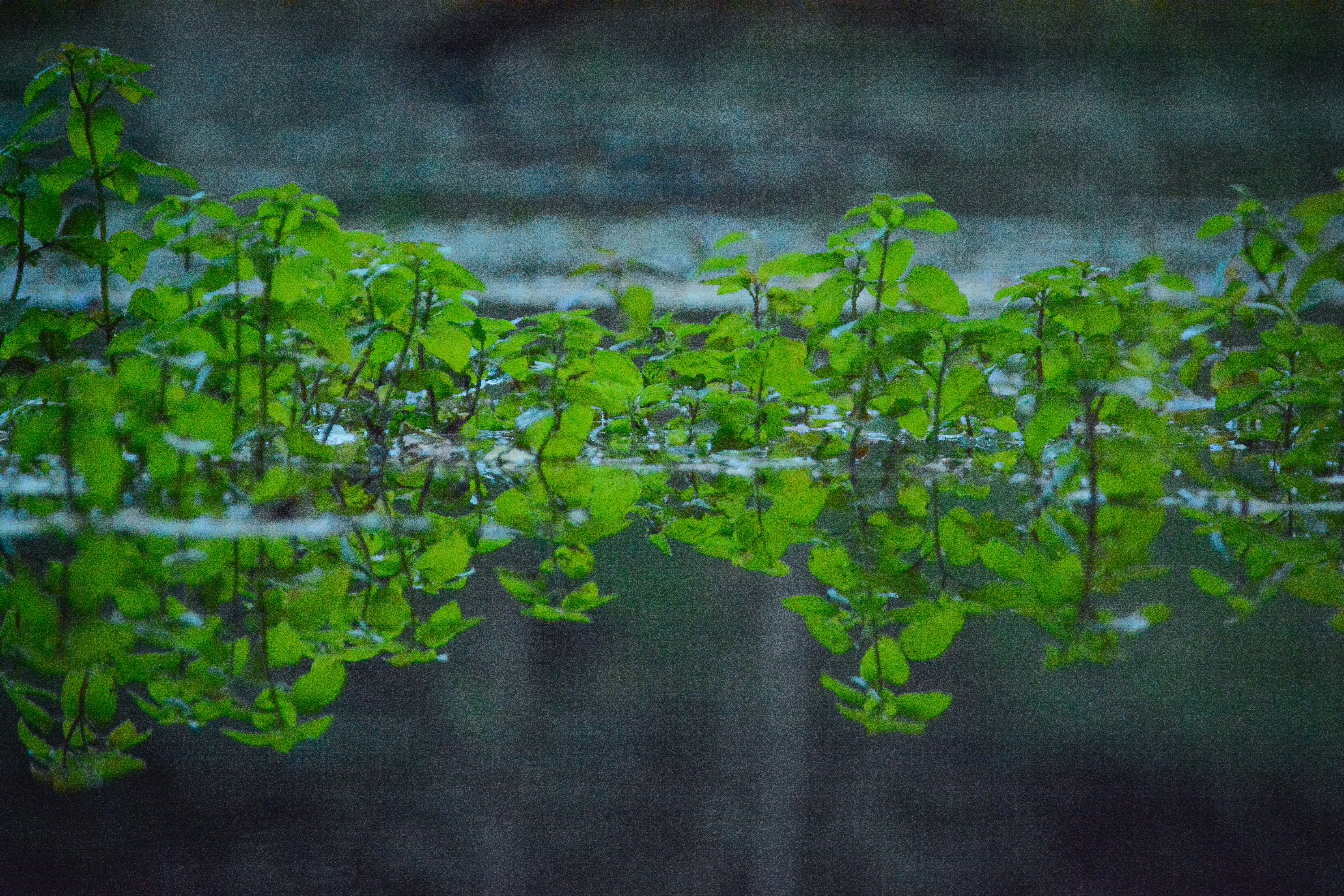 Photo by theoroberts