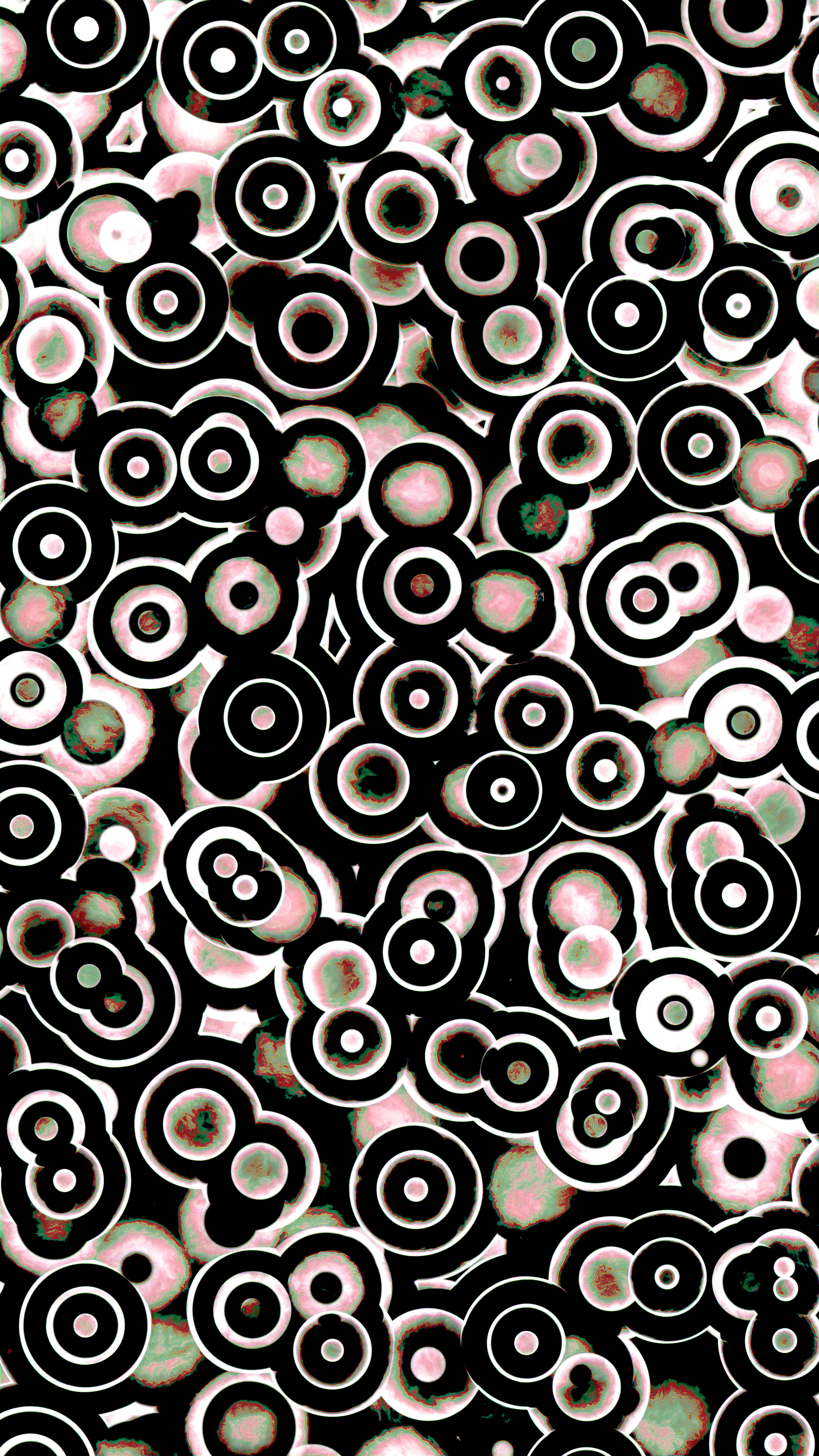 검은색 배경에 분홍색과 녹색 액센트가 있는 동심원 사진 – Unsplash의 무료 배경화면 이미지, image size:3000x5333