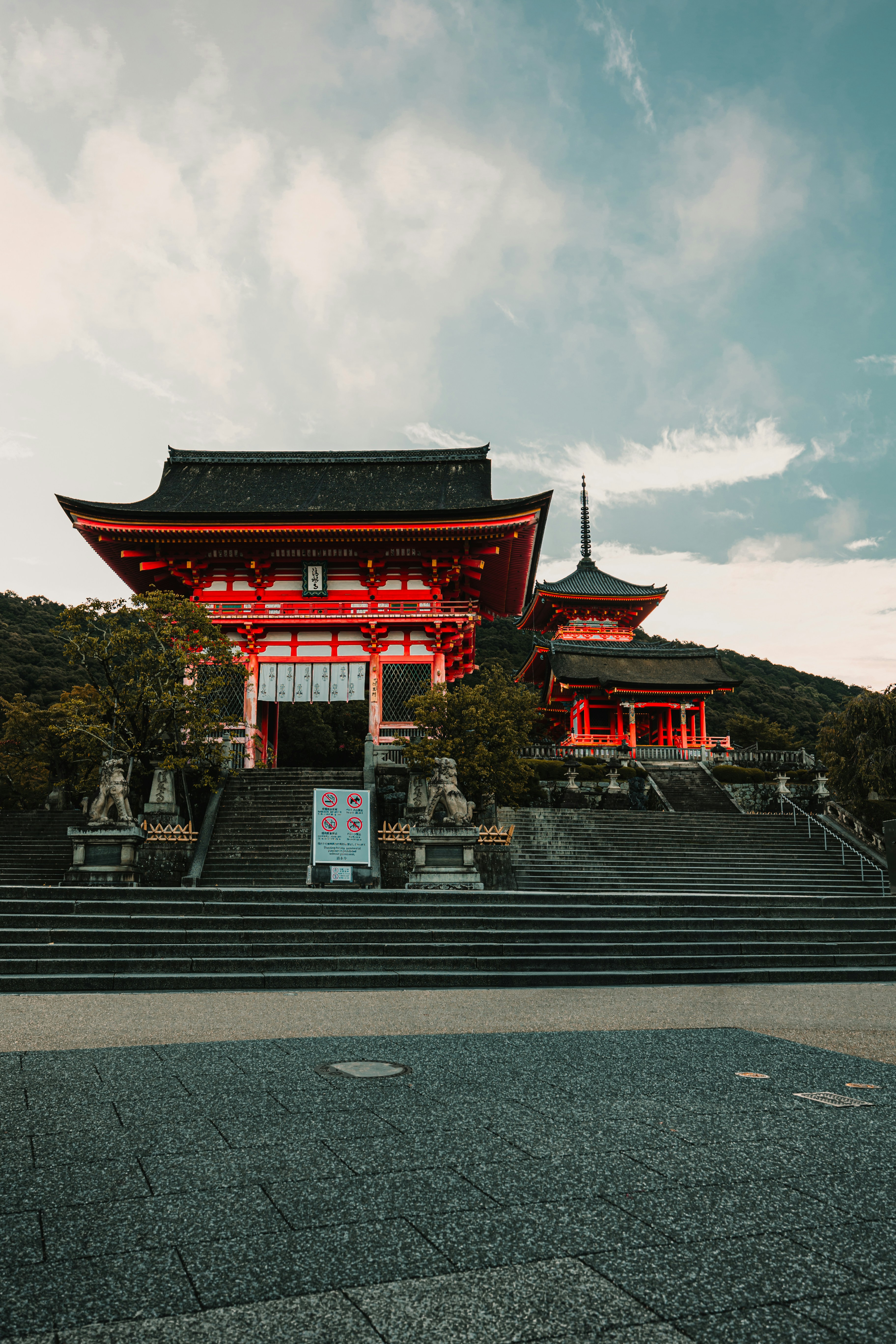 Photo by dariendesigns