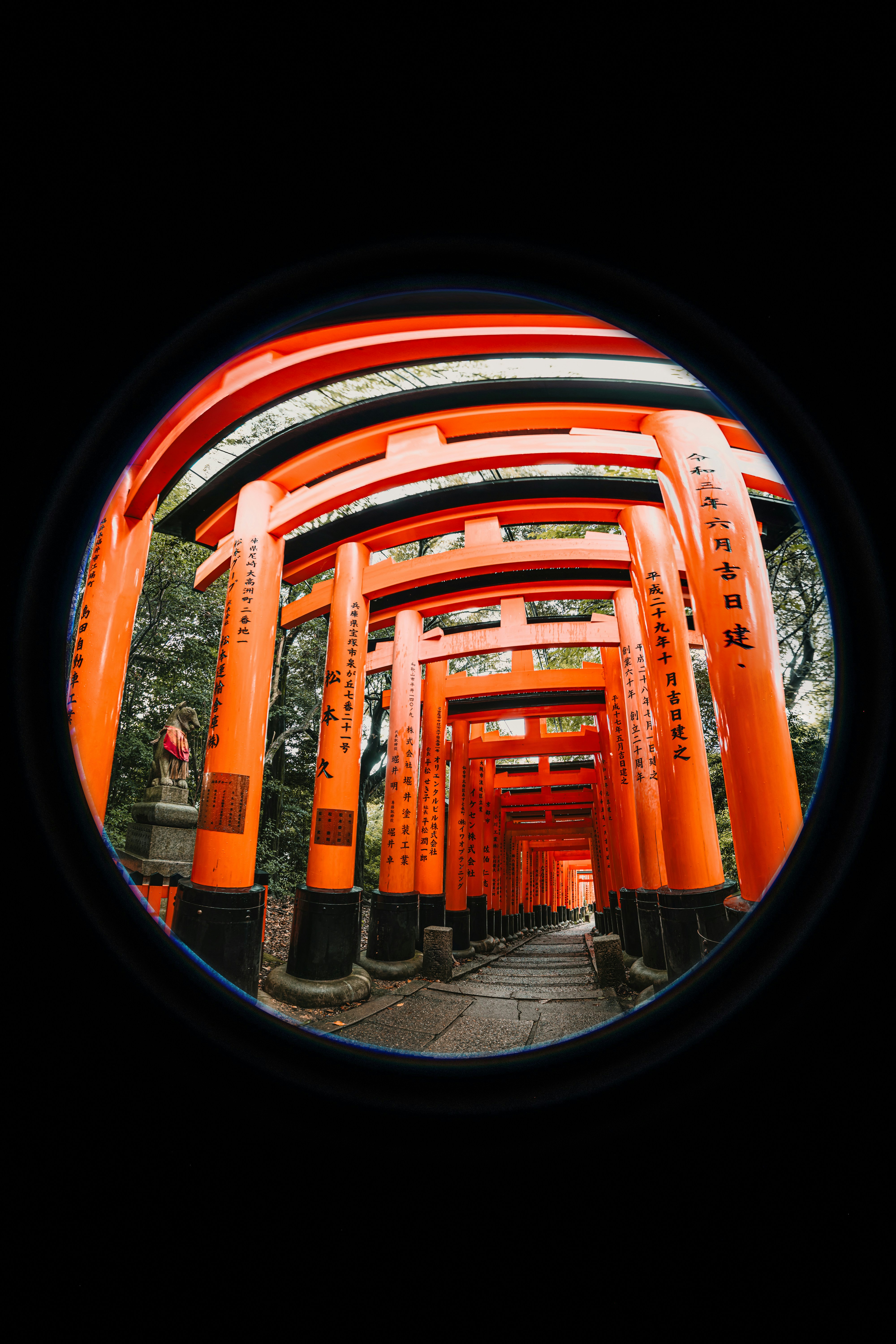 Photo by dariendesigns