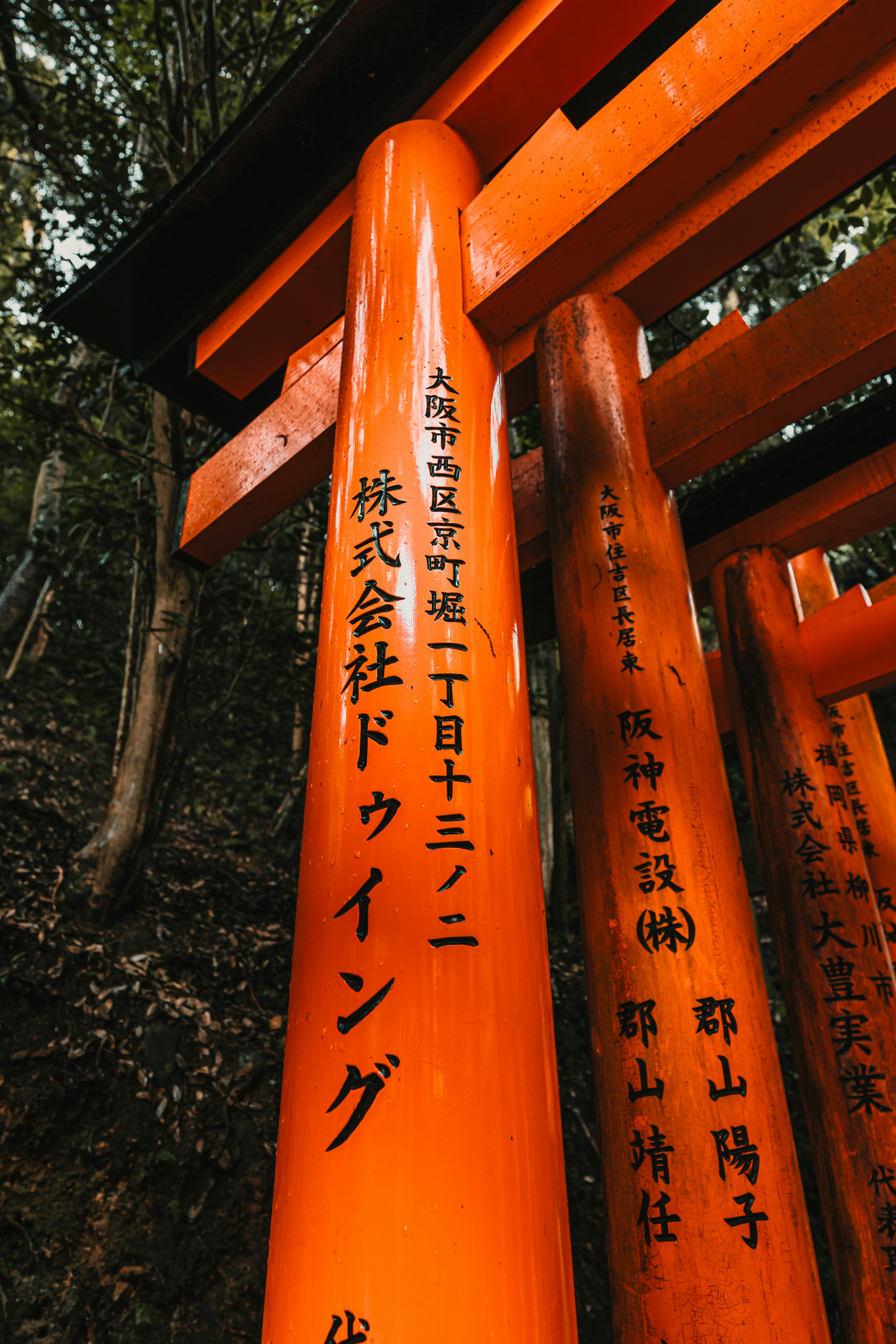 Photo by dariendesigns