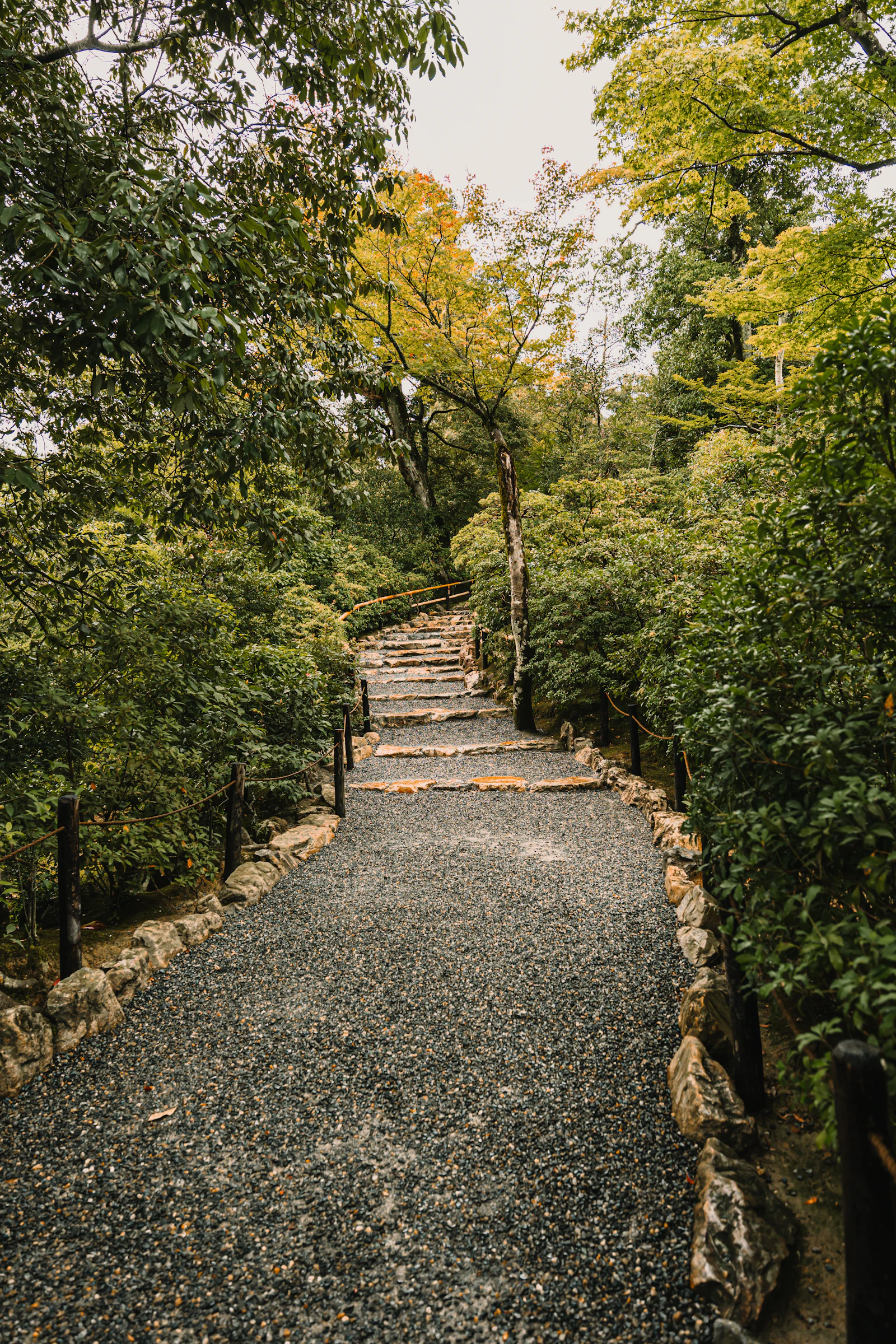 Stone garden steps through mature foliage — temporary placeholder