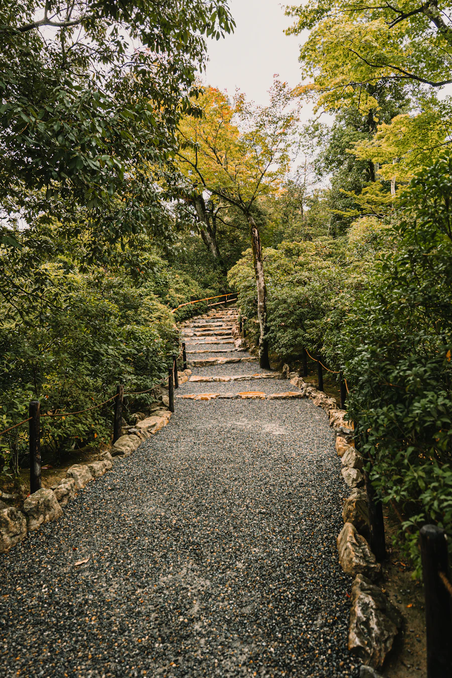 Stone garden path through mature foliage — temporary placeholder